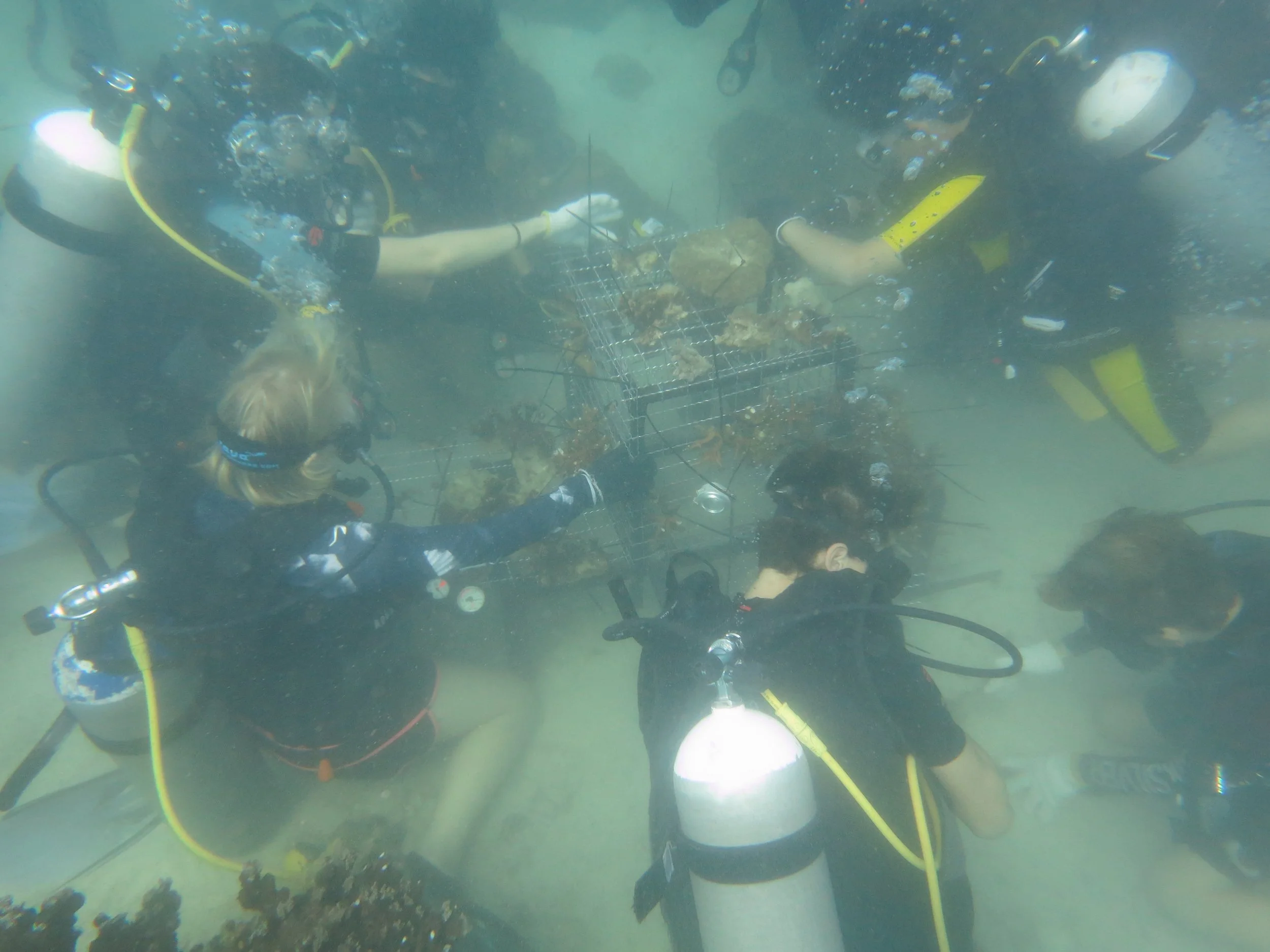 2016 BPS Satthahip Dive Trip with Marine Conservation Club (32).JPG