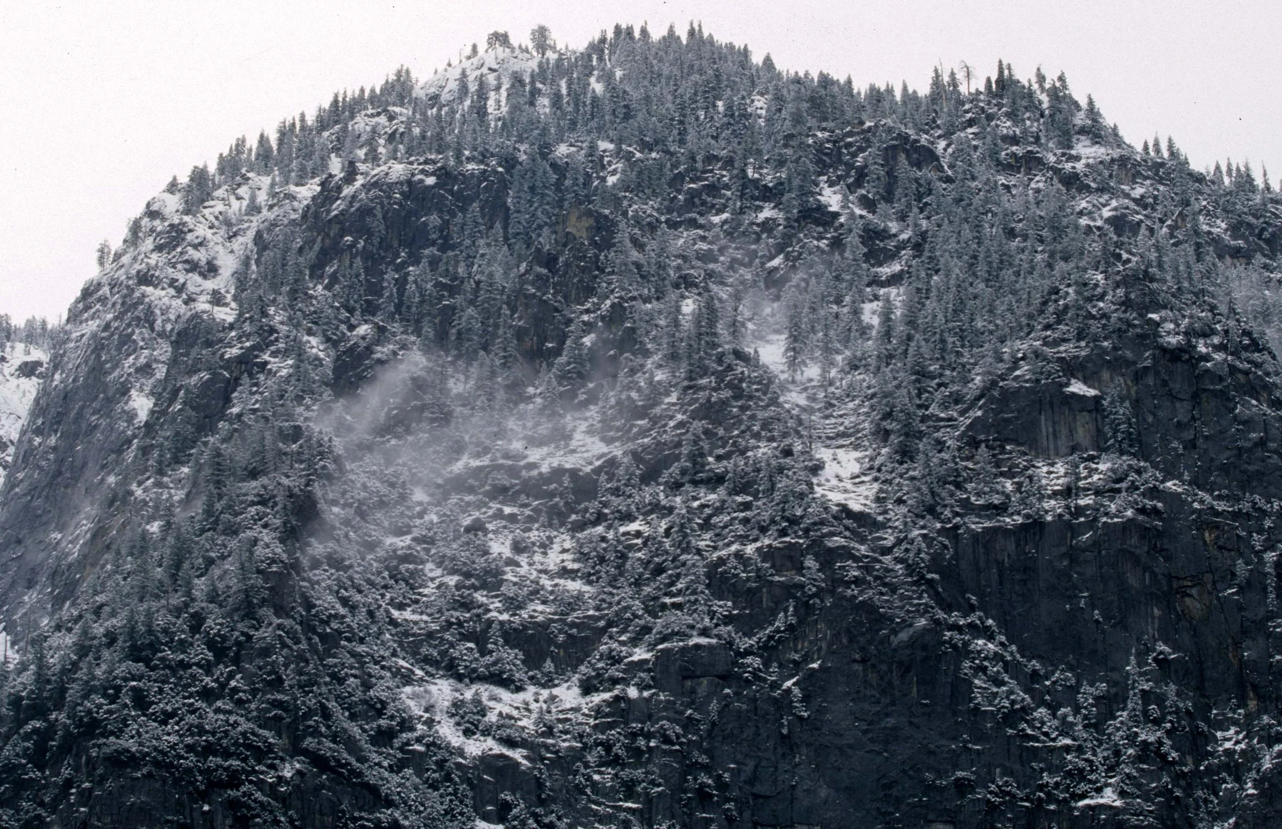 CALIFORNIA - YOSEMITE NP  (33).jpg