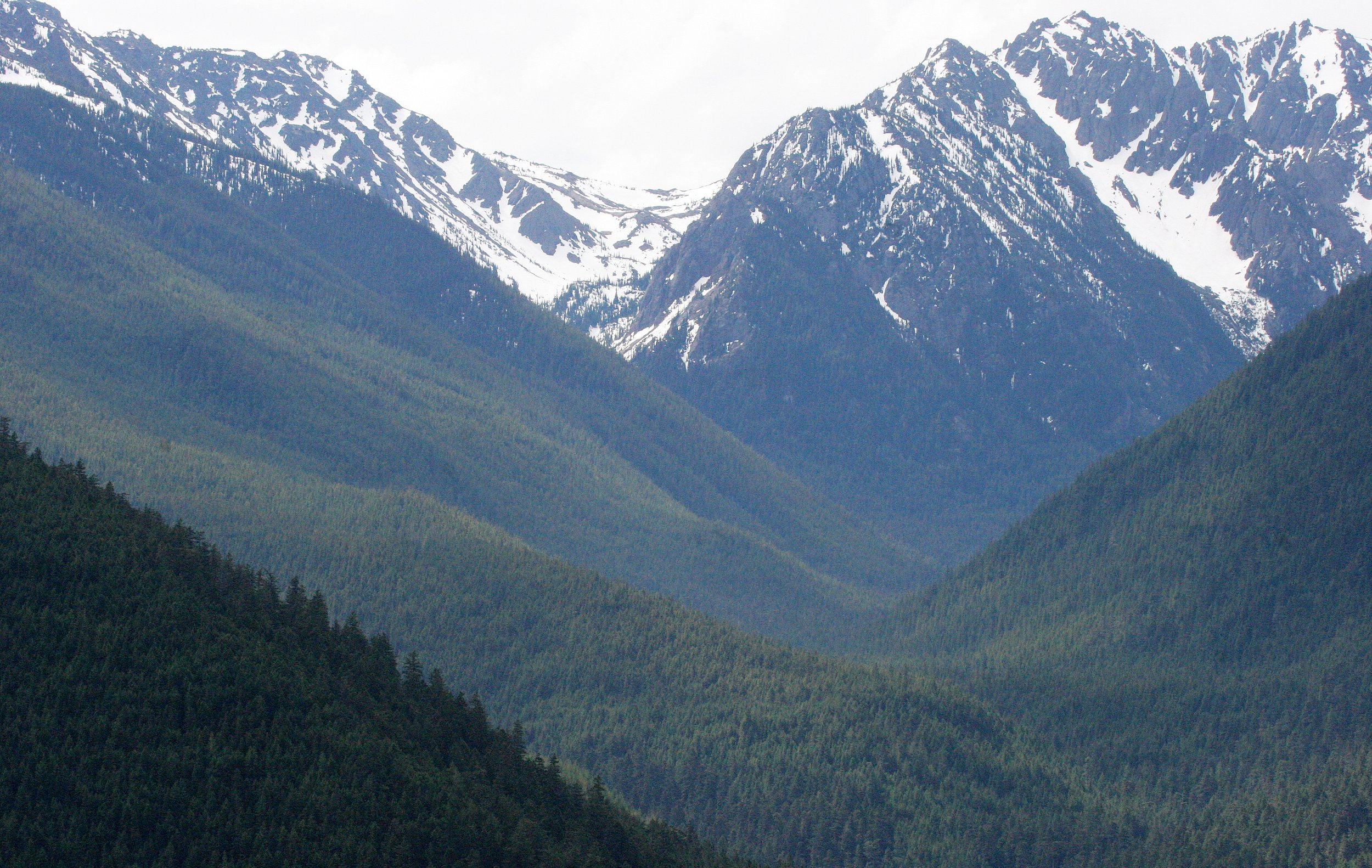 DUNGENESS RIVER WATERSHED - DUNGENESS TRAIL AND VIEWPOINTS (2).JPG