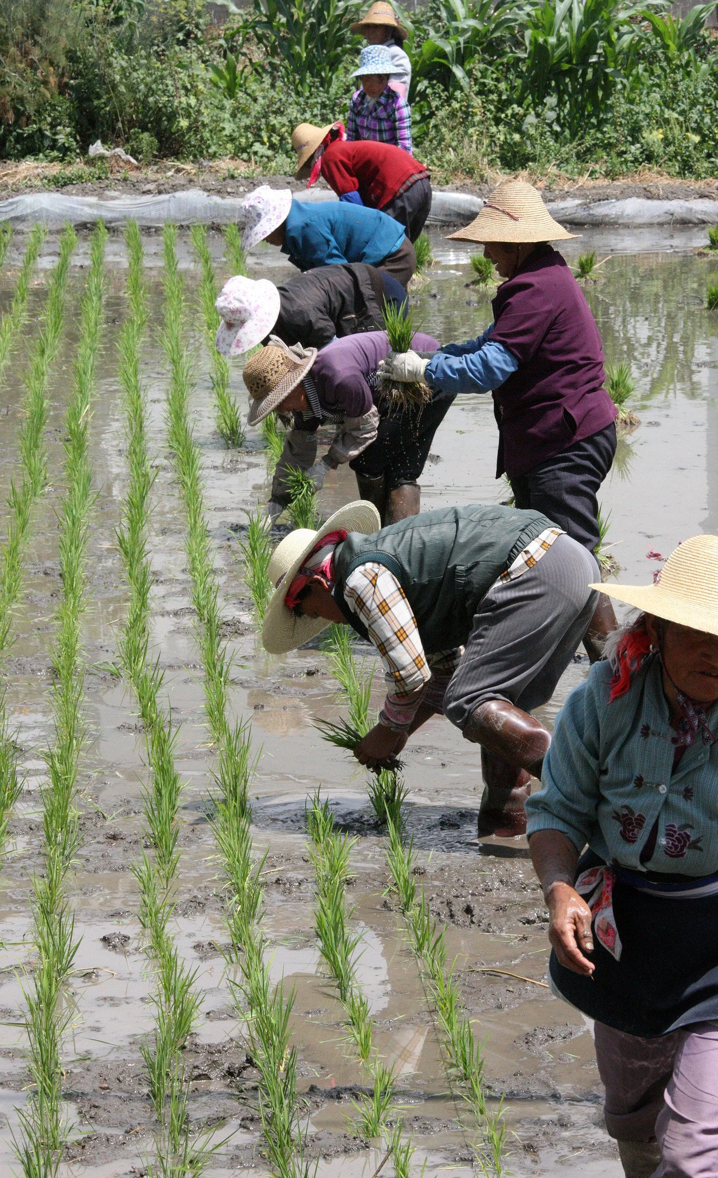 LINDEN CENTER - XIZHOU VILLAGE YUNNAN CHINA (259).JPG