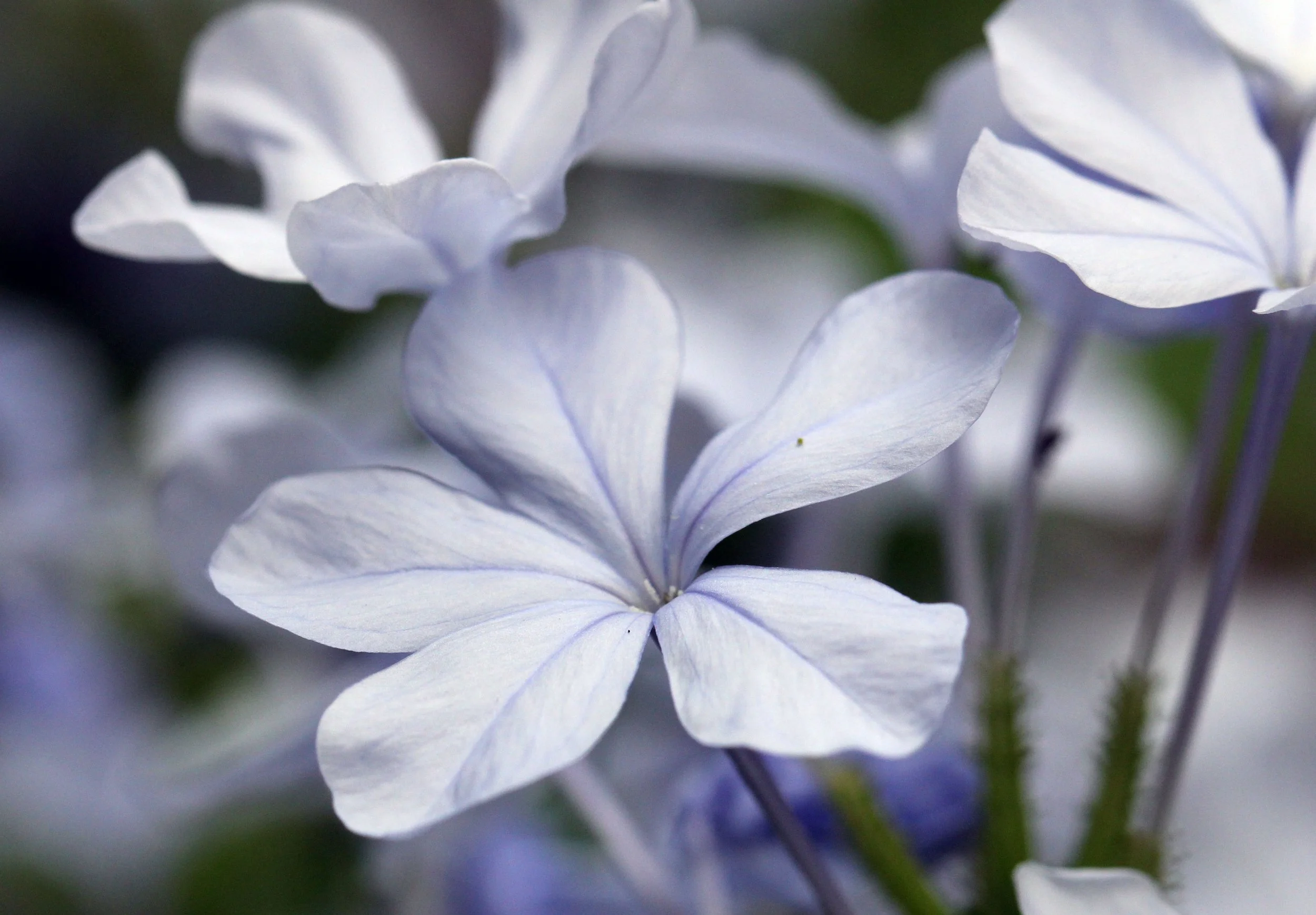 2013 Cha'am and Petchaburi with Family & Friends (9).JPG