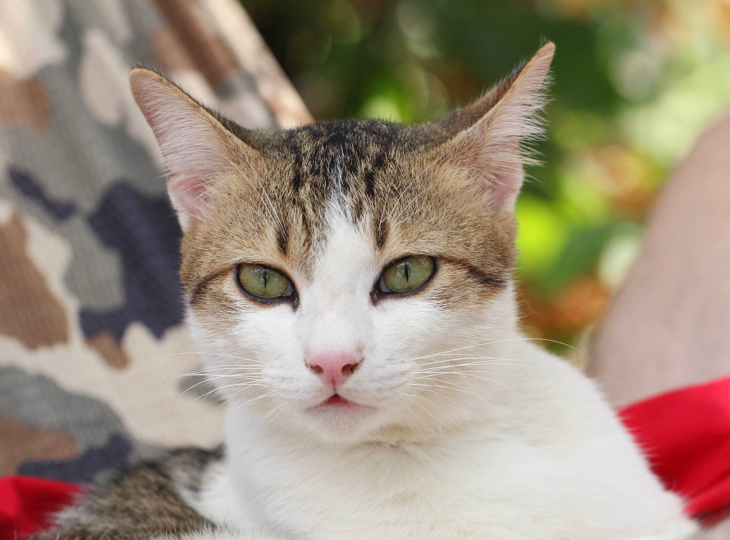 2015 Koh Lanta Songkran with friends from ISB (728).JPG