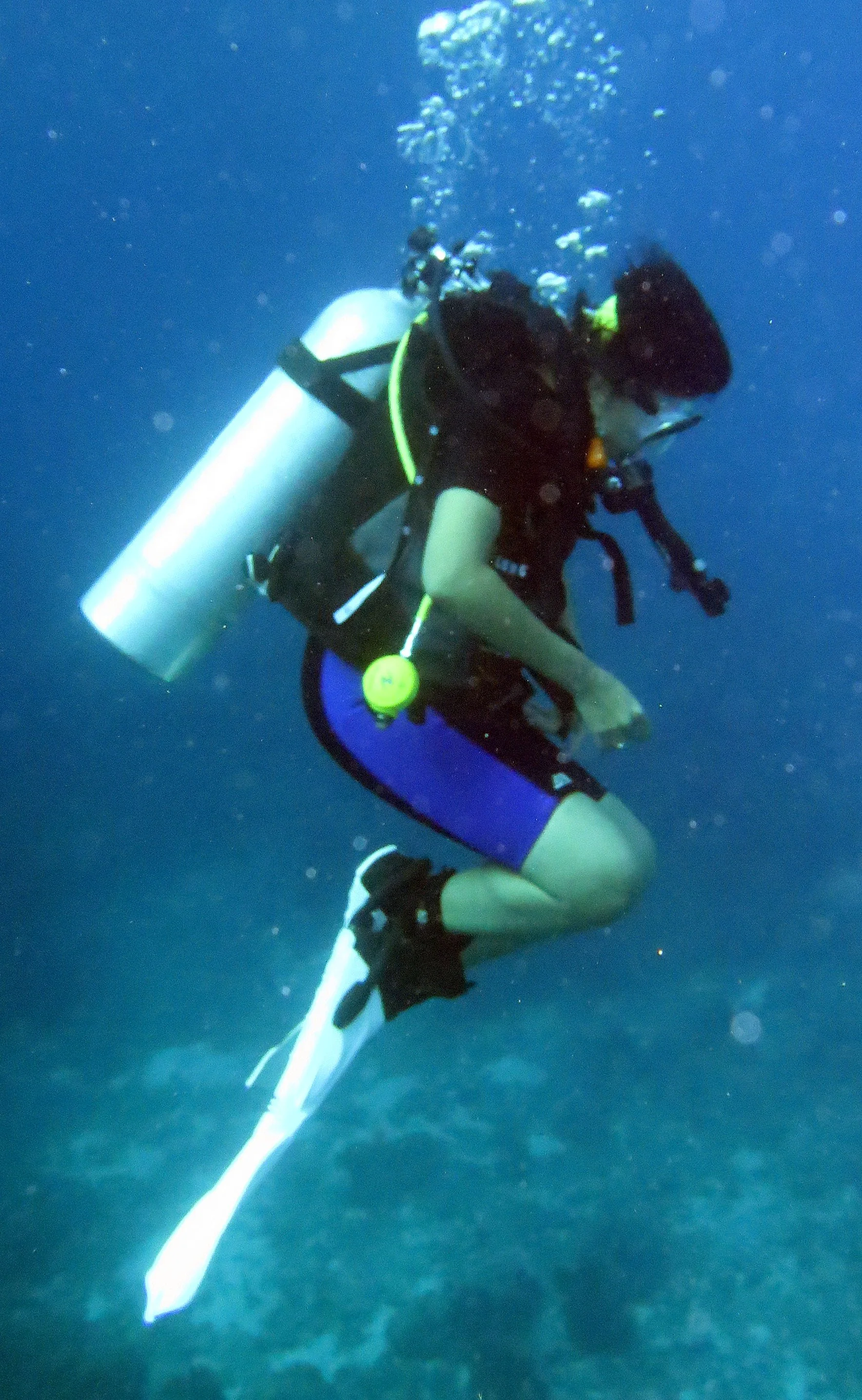 2016 Similans Trip with ISB GCW (43).JPG