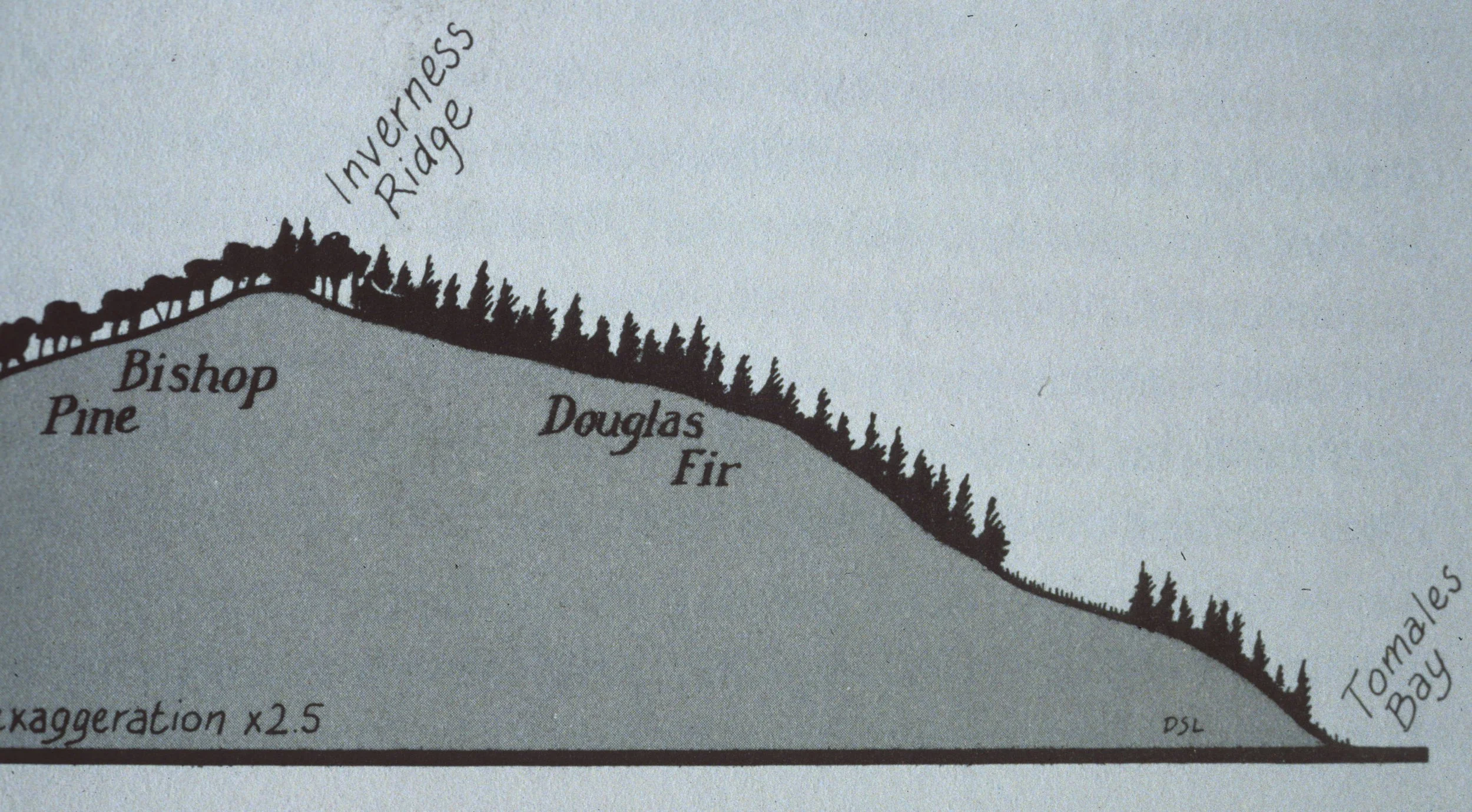 CALIFORNIA - POINT REYES - PLANT COMMUNITY DISTRIBUTION MAP A.jpg