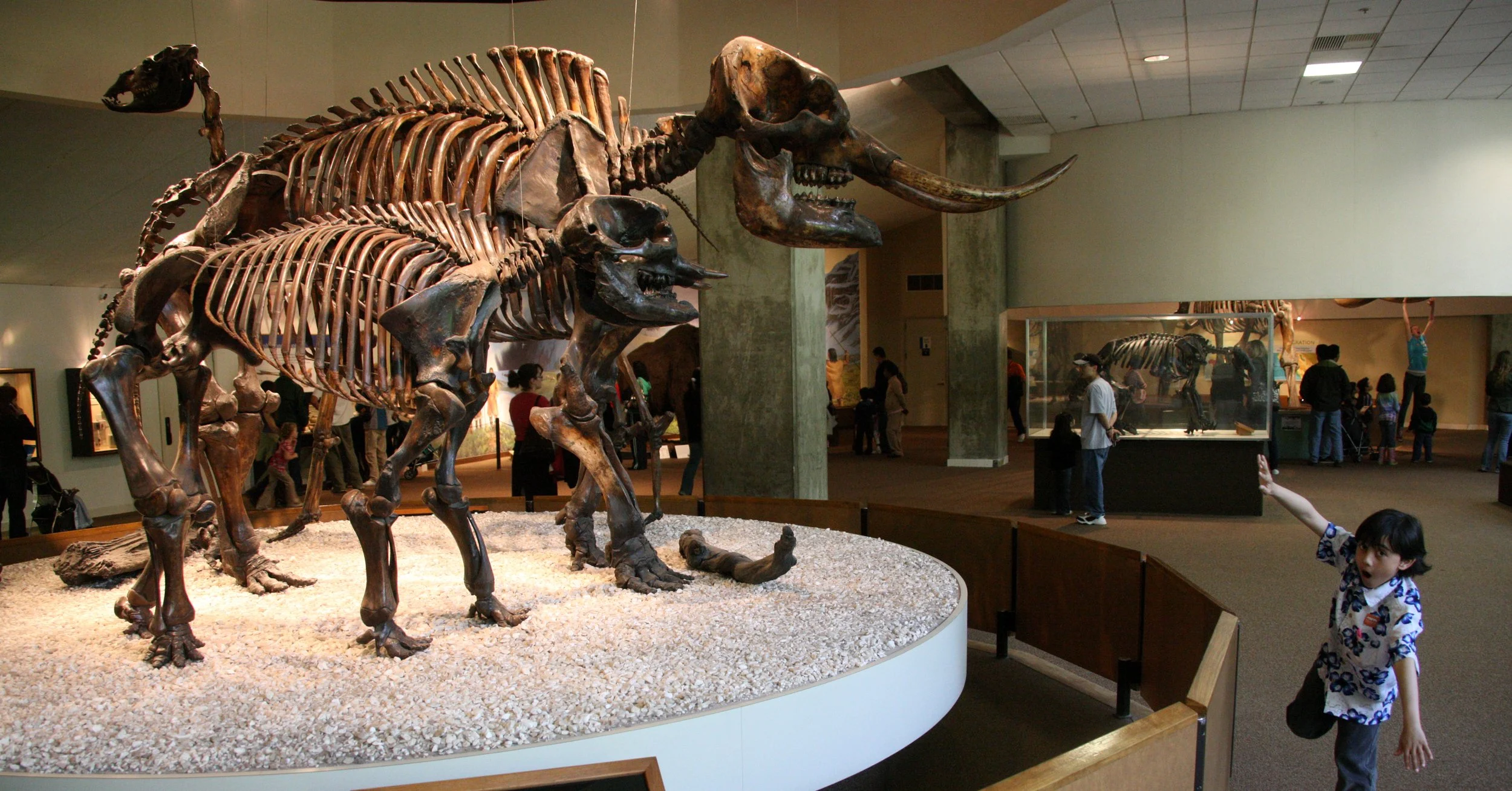 2010-4-5 LA BREA TAR PITS LOS ANGELES (7).JPG