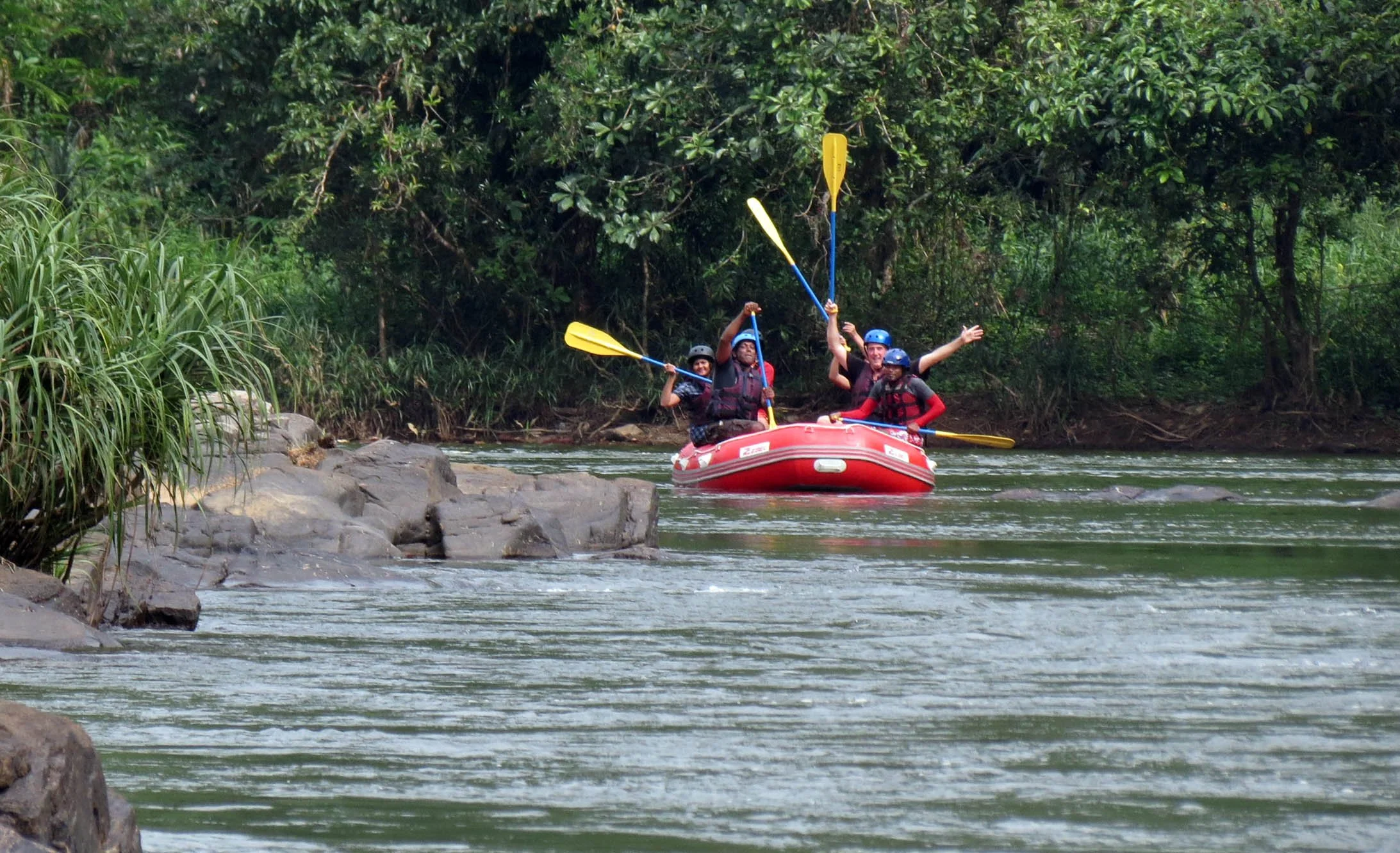 KITULGALA FOREST PRESERVE SRI LANKA (74).JPG