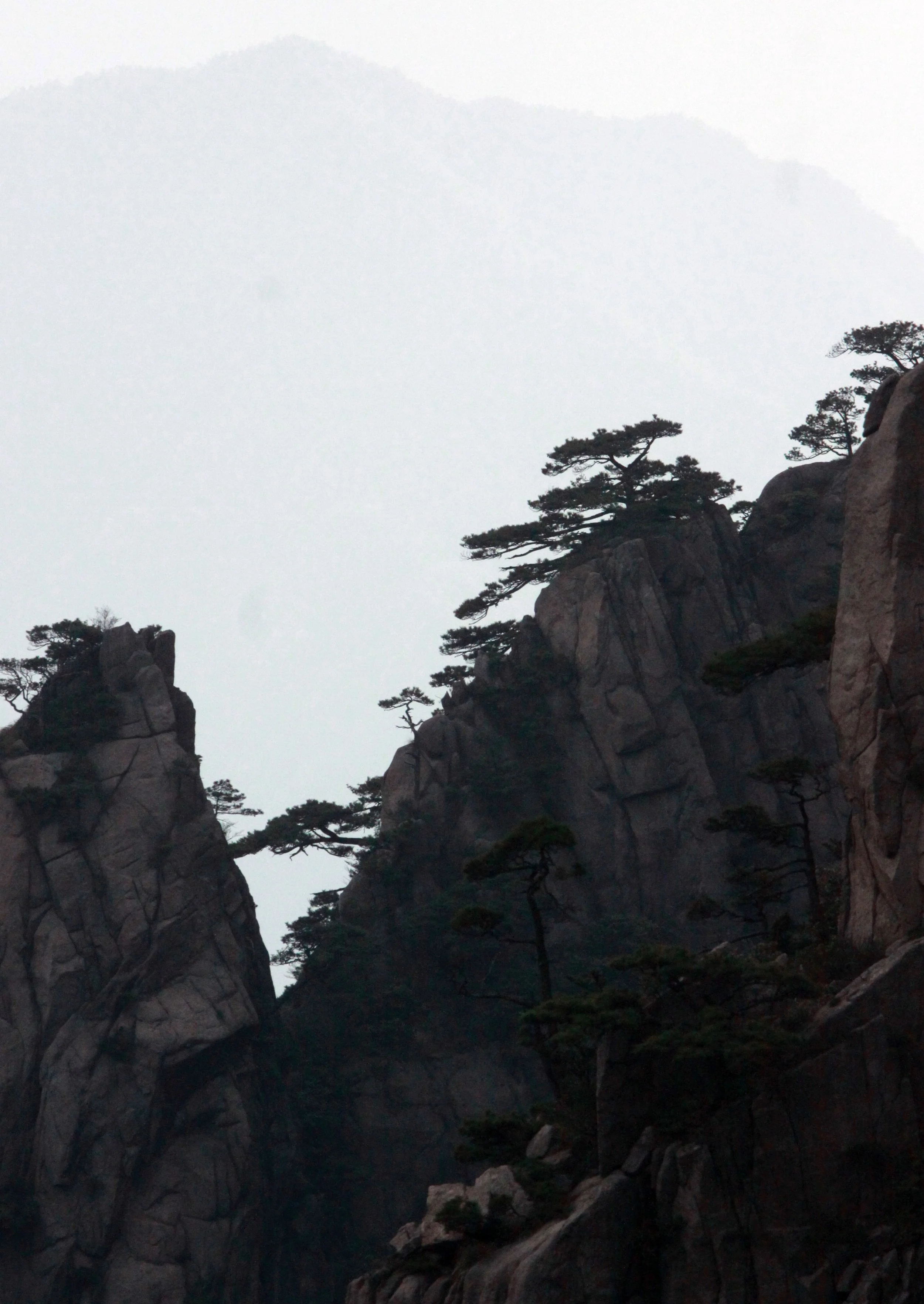 HUANGSHAN NATIONAL PARK - ANHUI PROVINCE CHINA (80).JPG