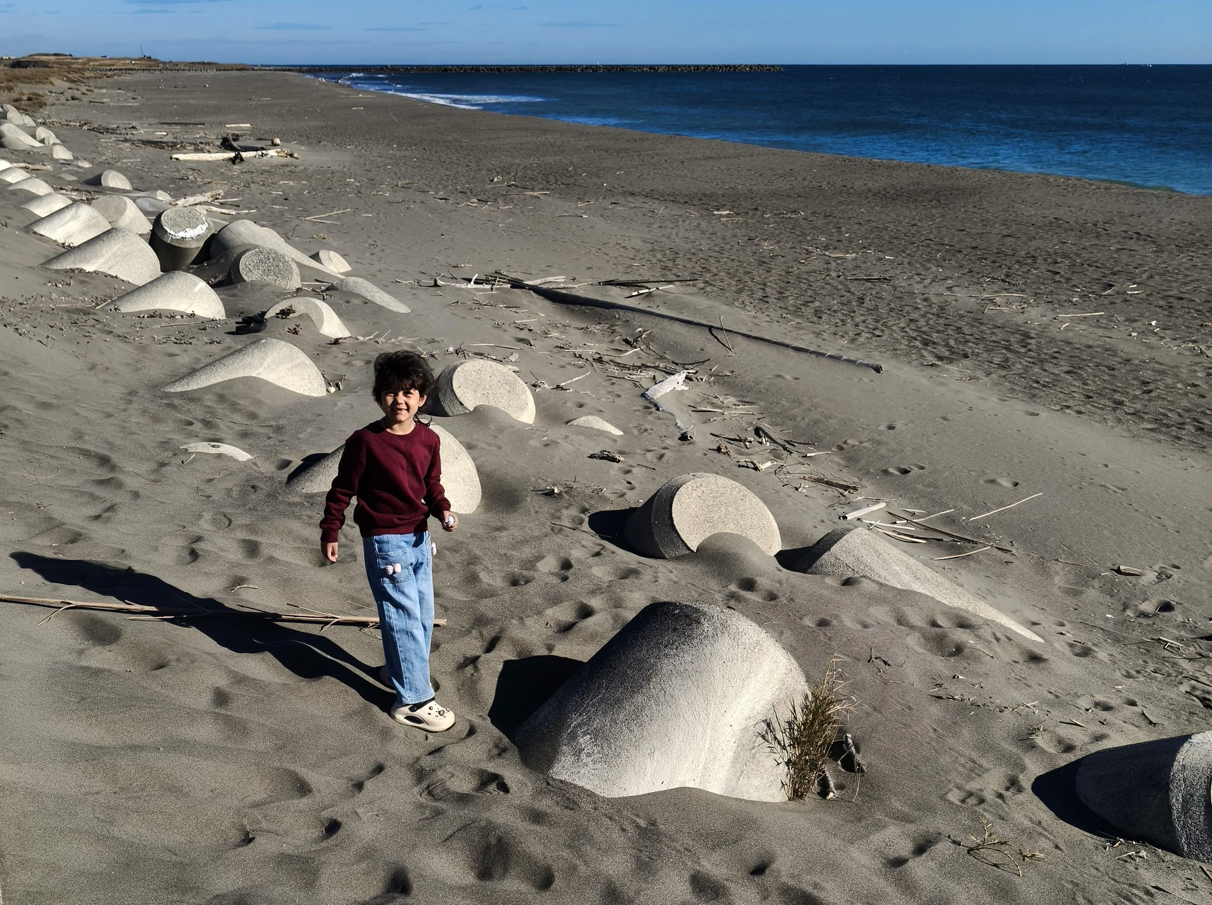 Shimotonda Sadowaracho Birding Ponds Miyazaki Kyushu Japan (134).jpg