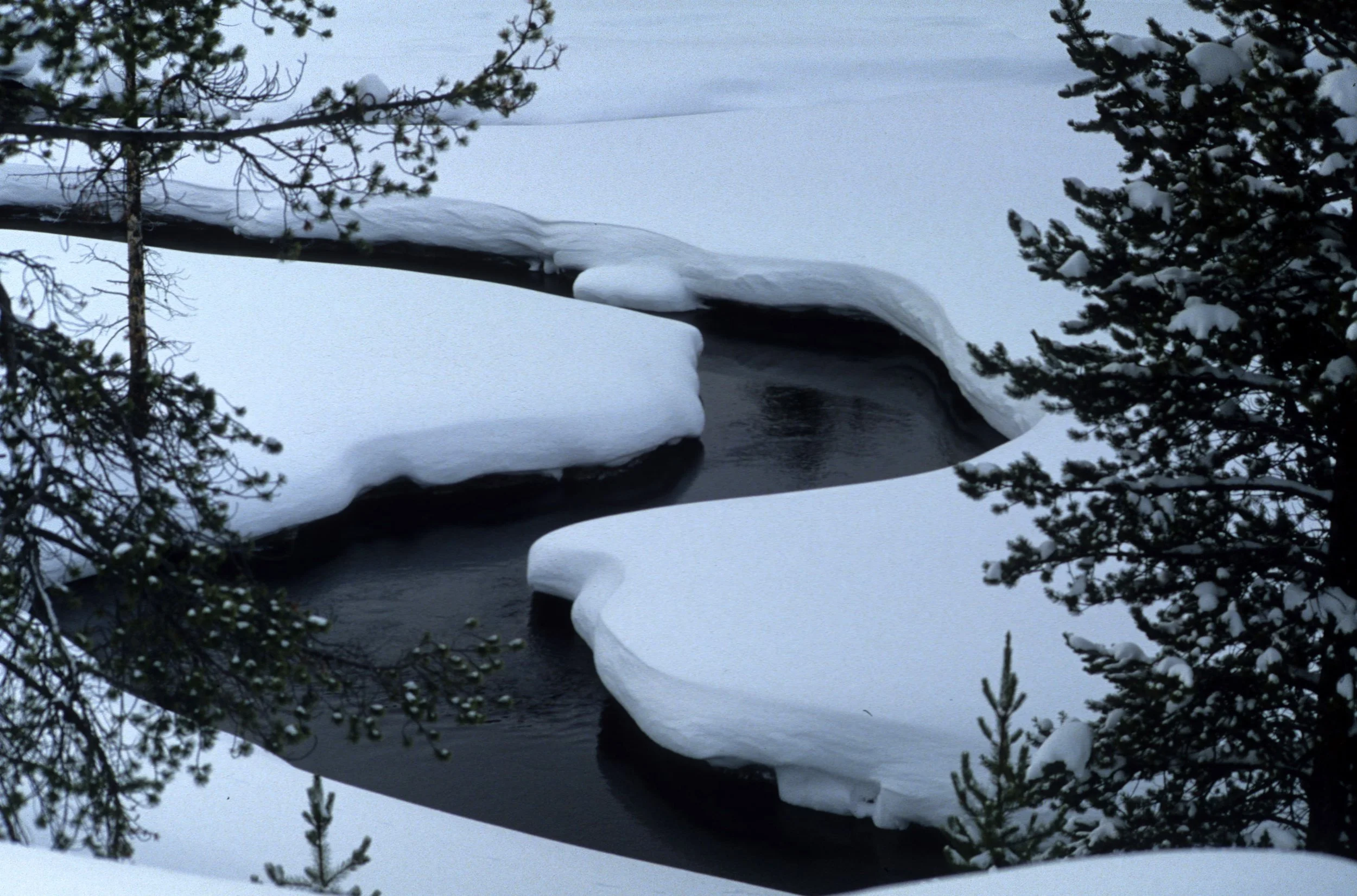YELLOWSTONE IN WINTER.jpg