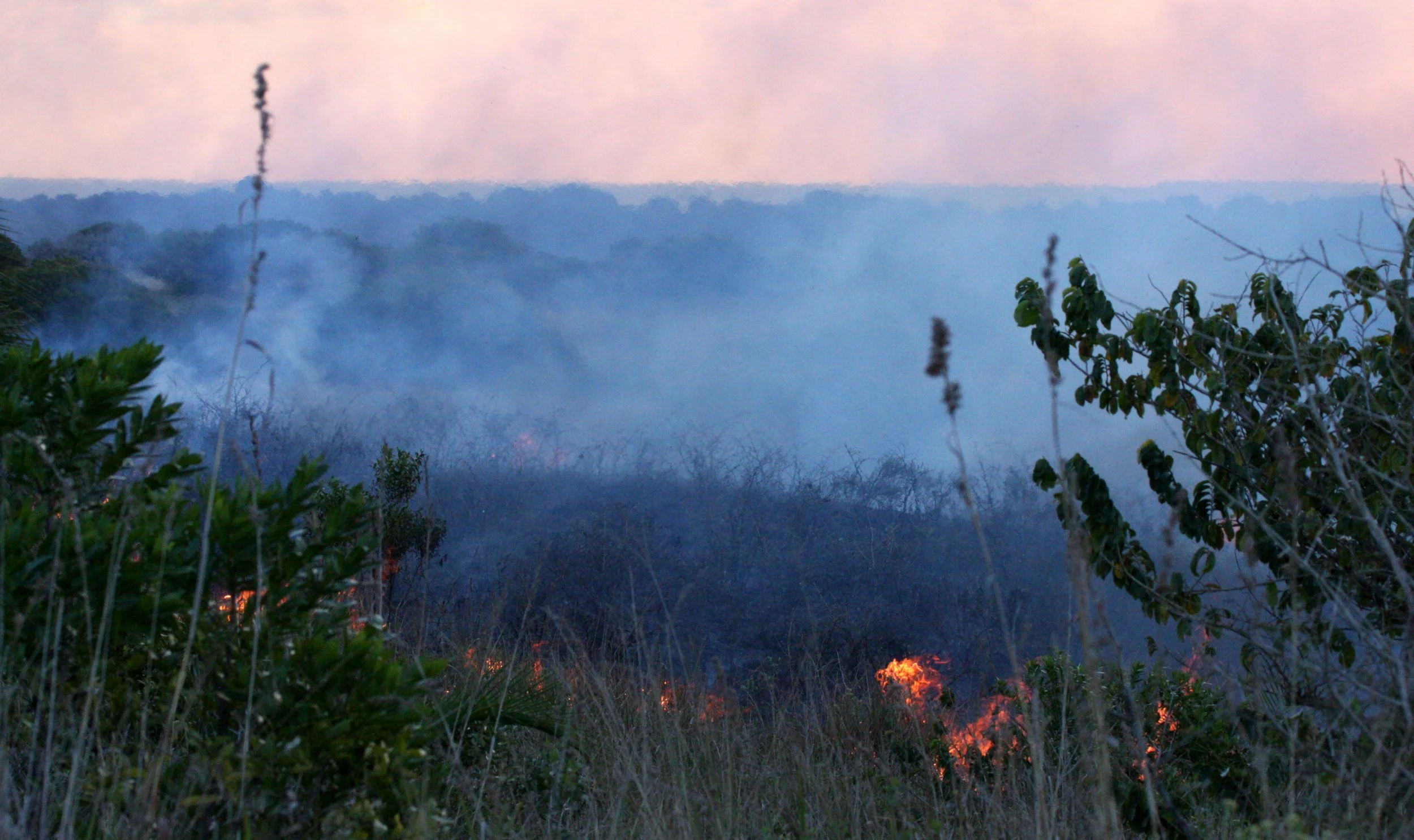 SAINT LUCIA WETLANDS RESERVE - SOUTH AFRICA - FIRE ECOLOGY.JPG