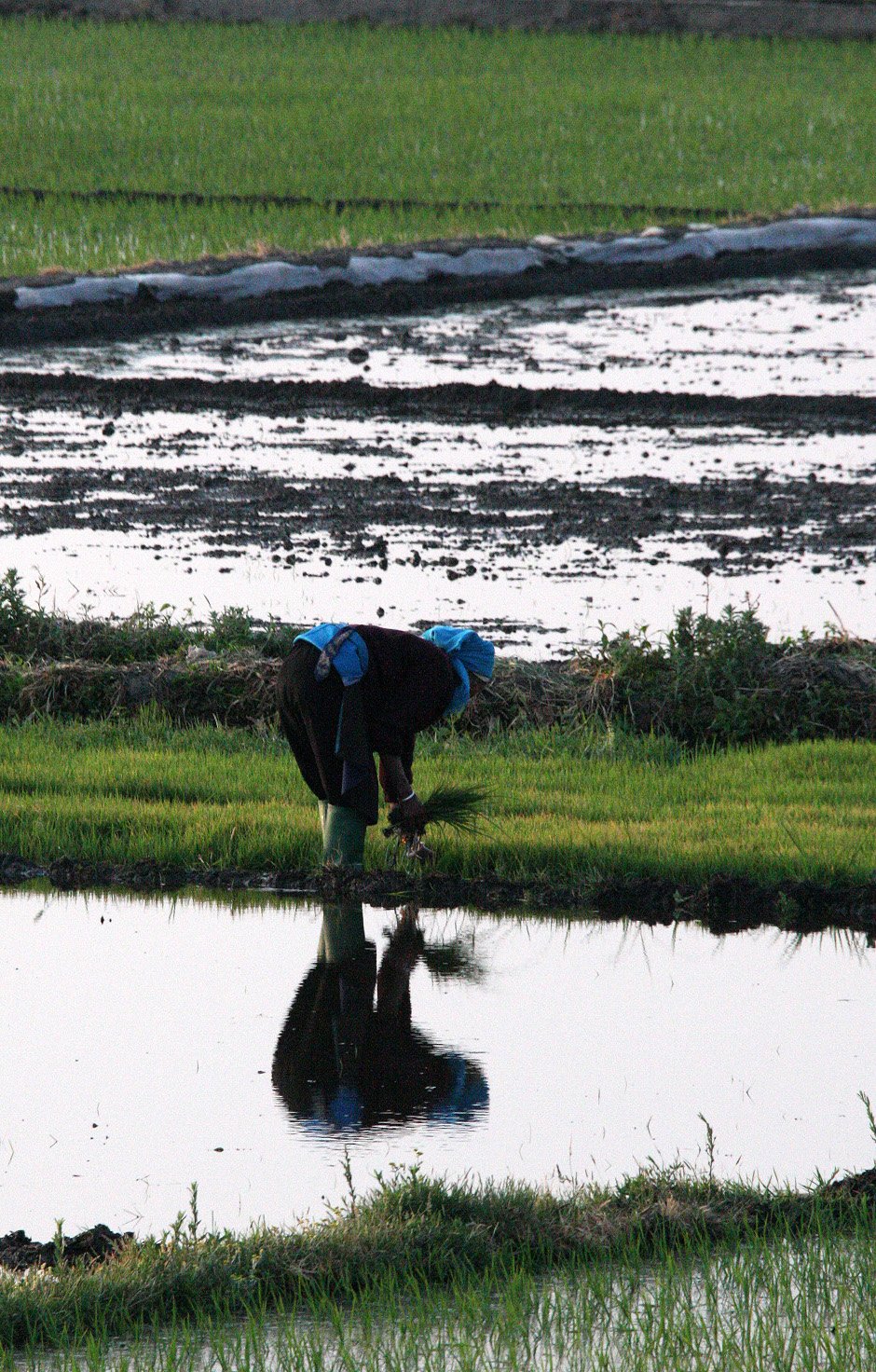 LINDEN CENTER - XIZHOU VILLAGE YUNNAN CHINA (76).JPG