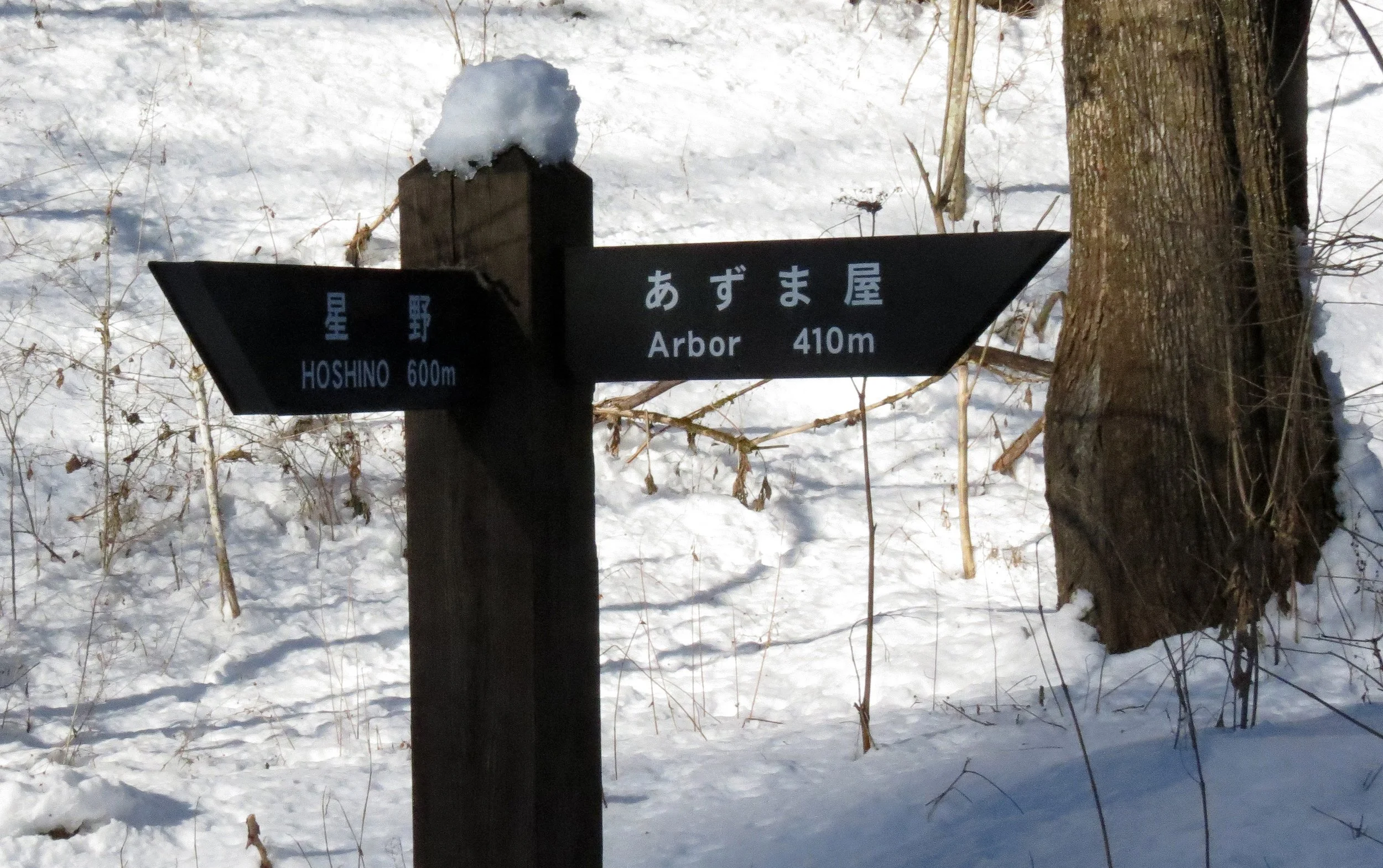 KARUIZAWA - PICCHIO TREK AND TALK (5).JPG