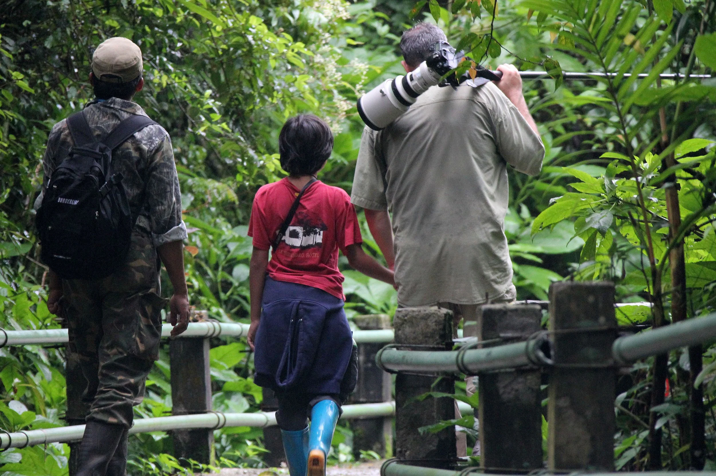 GEDE NATIONAL PARK - JAVA BARAT INDONESIA (3).JPG