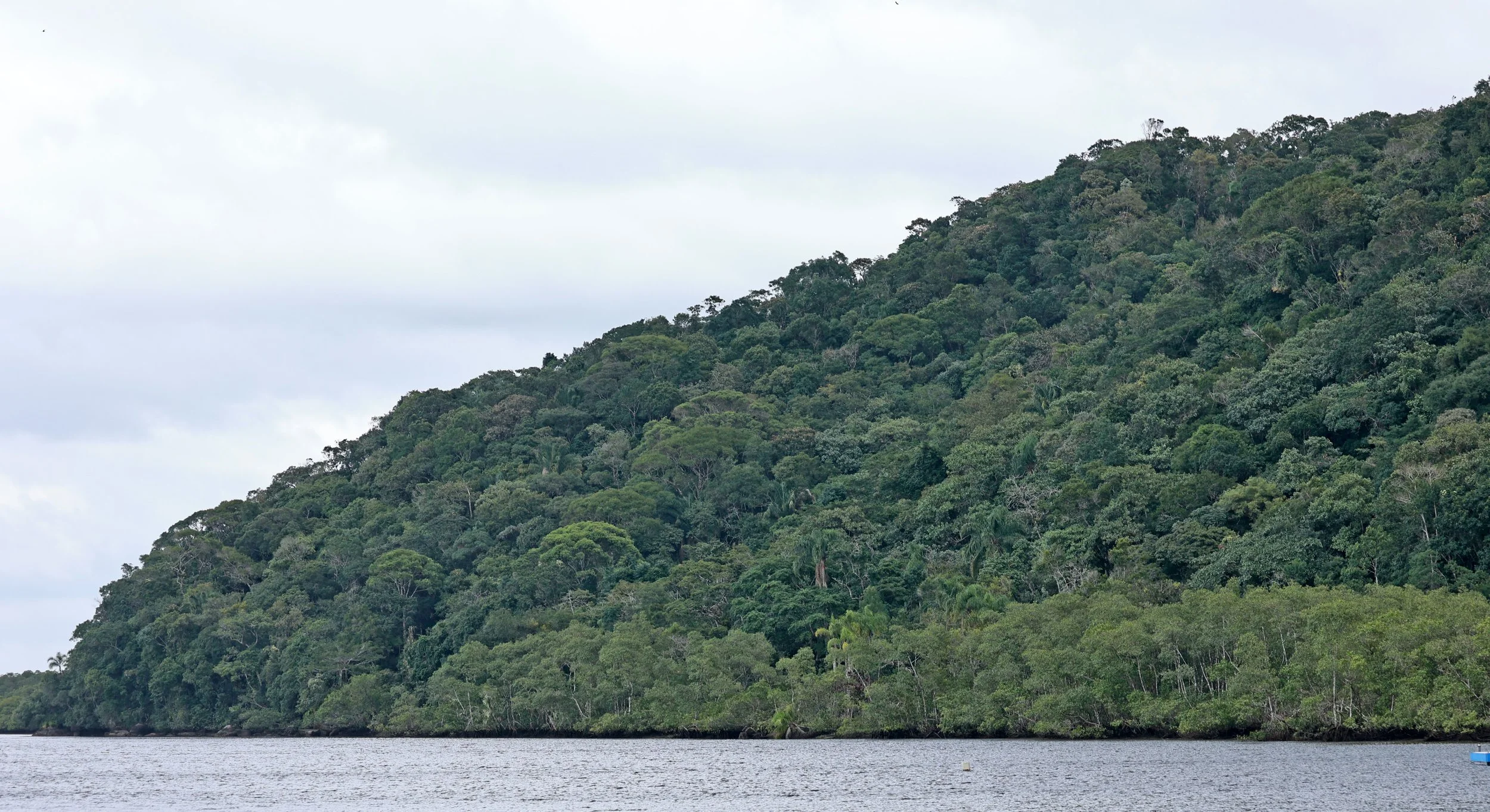 Superagüi National Park