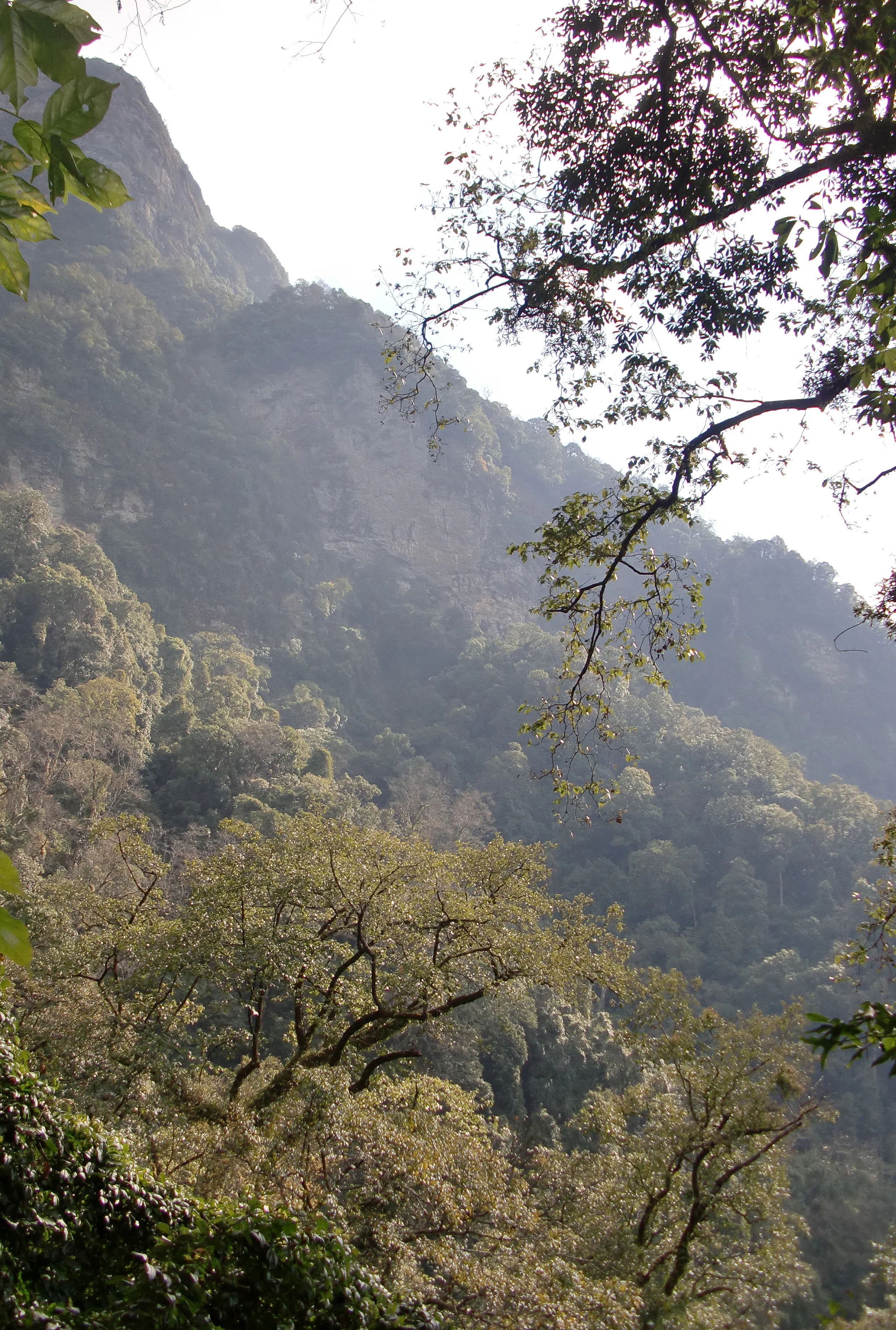 YUNNAN - WULIANGSHAN NATURE RESERVE AND SURROUNDING MOUNTAINS (13).JPG