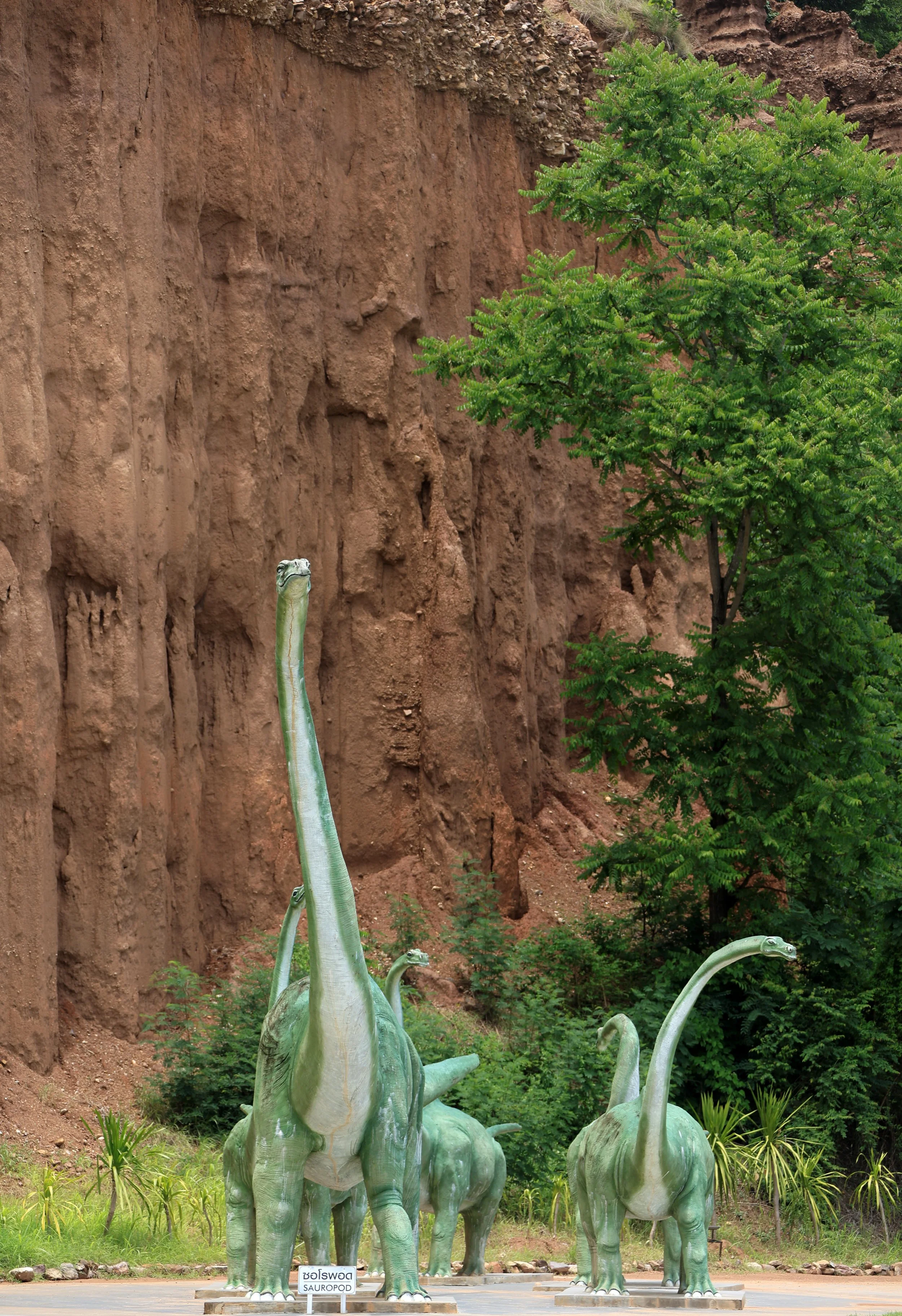 Fang Ta Chai Sathan, Doi Phu Nang National Park, Ban Chai Sathan, Chiang Muan Subdistrict, Phayao Province (10).jpg