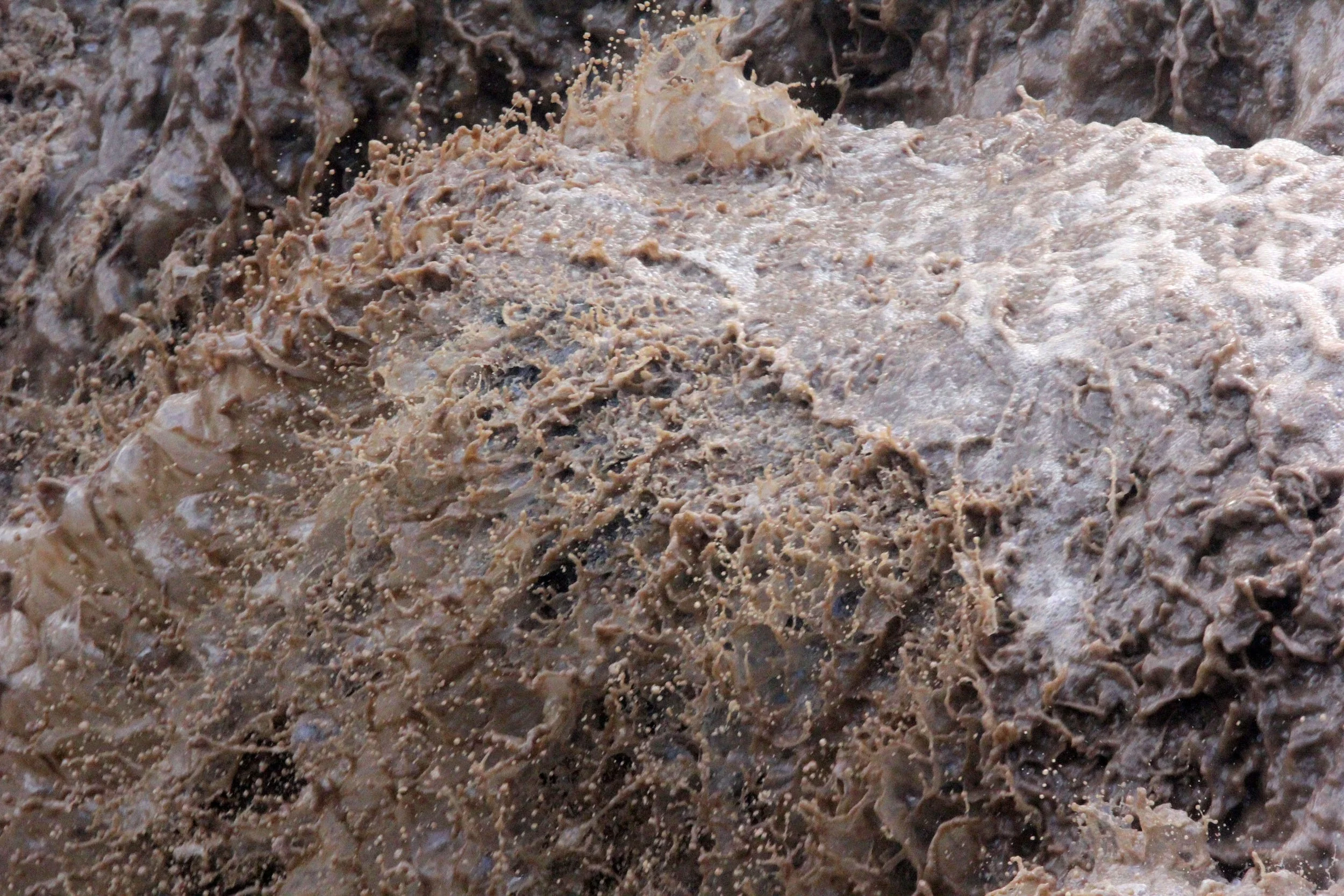 AWASH NATIONAL PARK ETHIOPIA (32).JPG