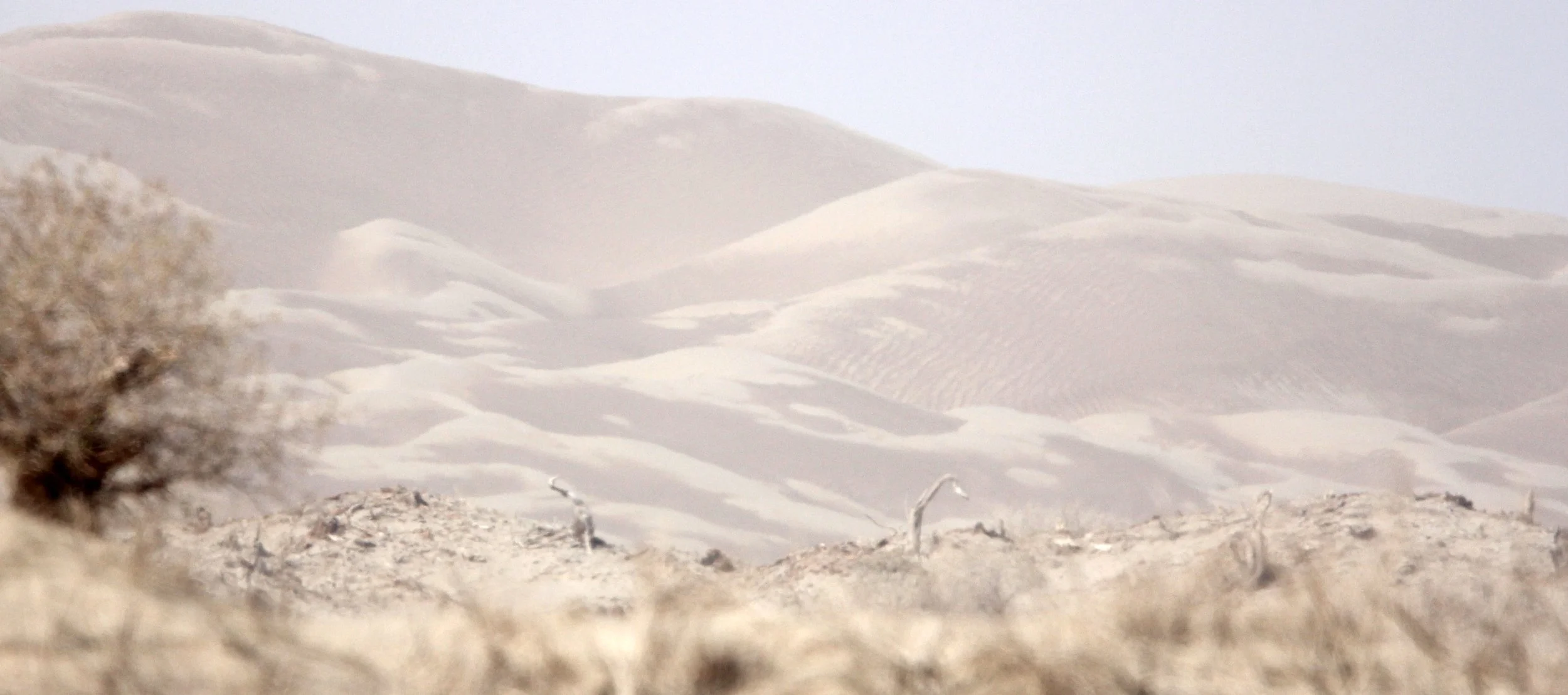 TAKLAMAKAN DESERT - XINJIANG CHINA (1).JPG