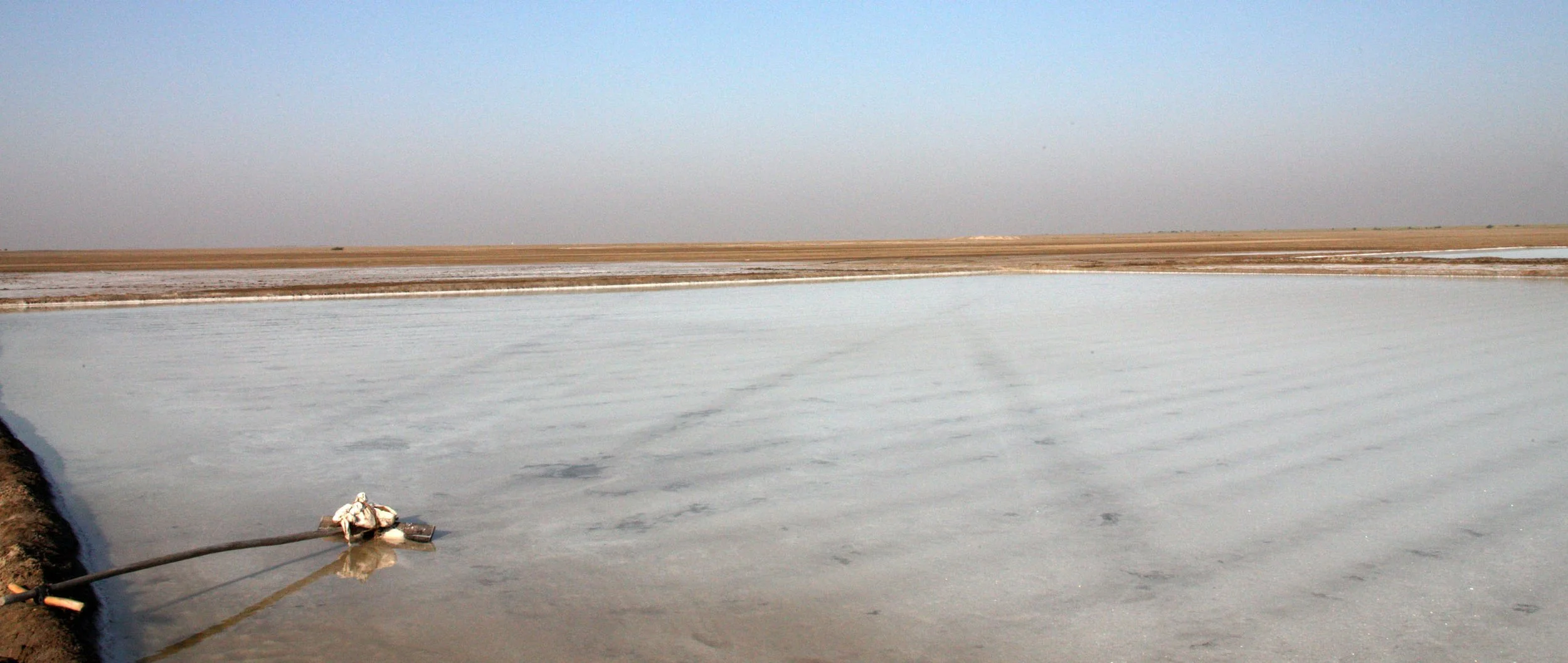 GUJARAT - KUTCH - LITTLE RANN OF KUTCH INDIA (57).JPG