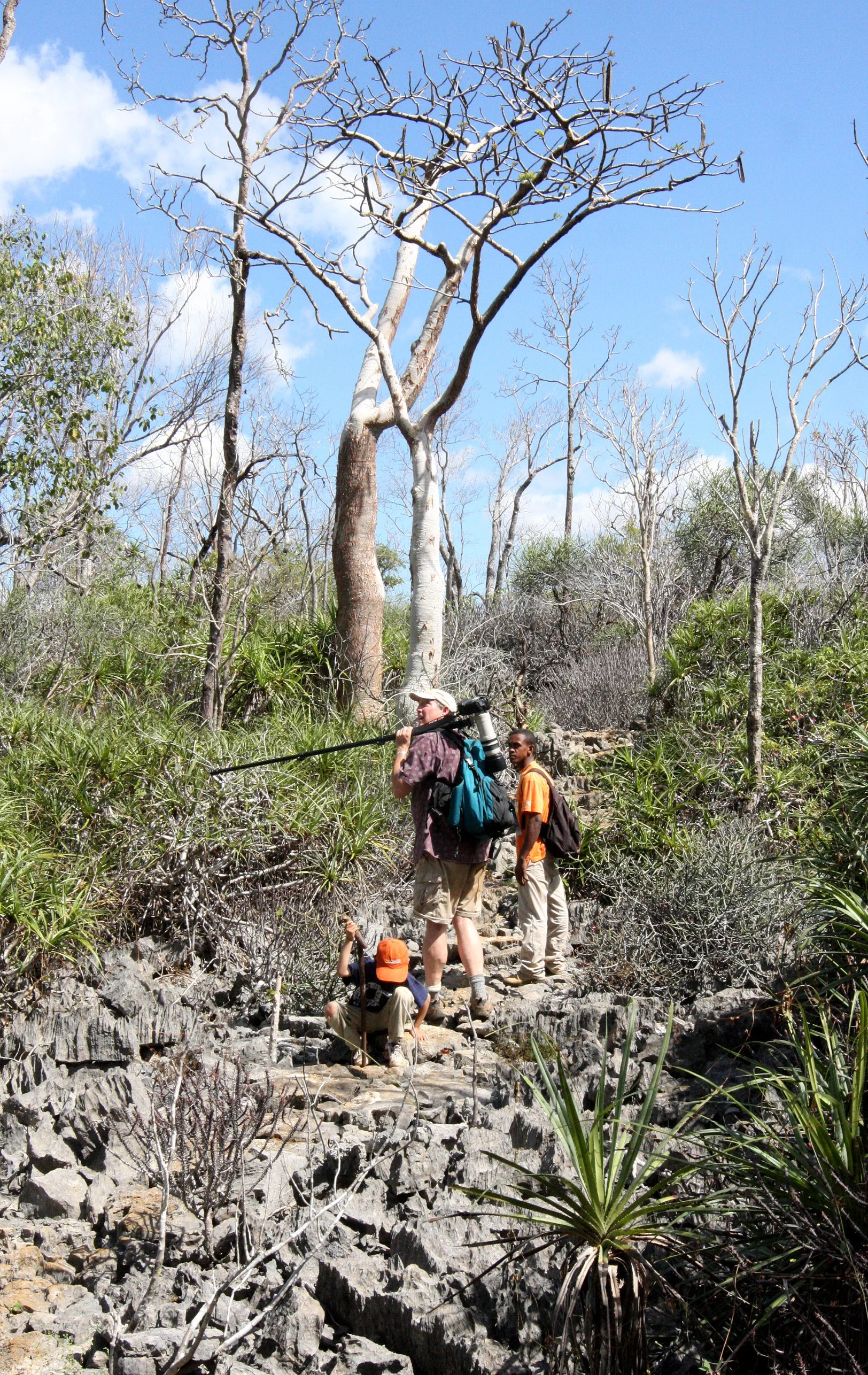 ANKARANA NATIONAL PARK MADAGASCAR - TSINGY FOREST (3).JPG
