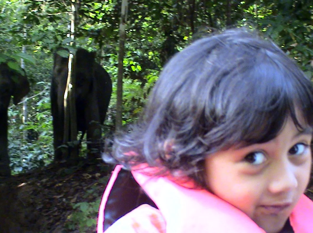 BORNEO - US WITH THE ELEPHANTS (13).JPG