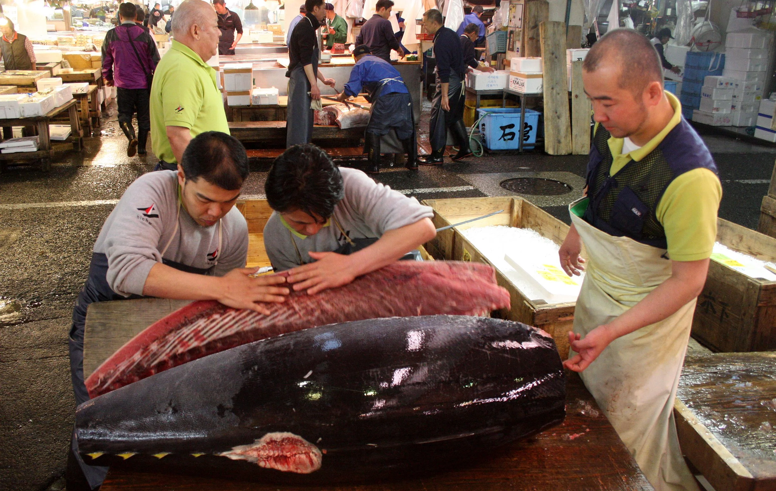 TOKYO - MAY 2009 - TSUKIJI MARKET (42).JPG