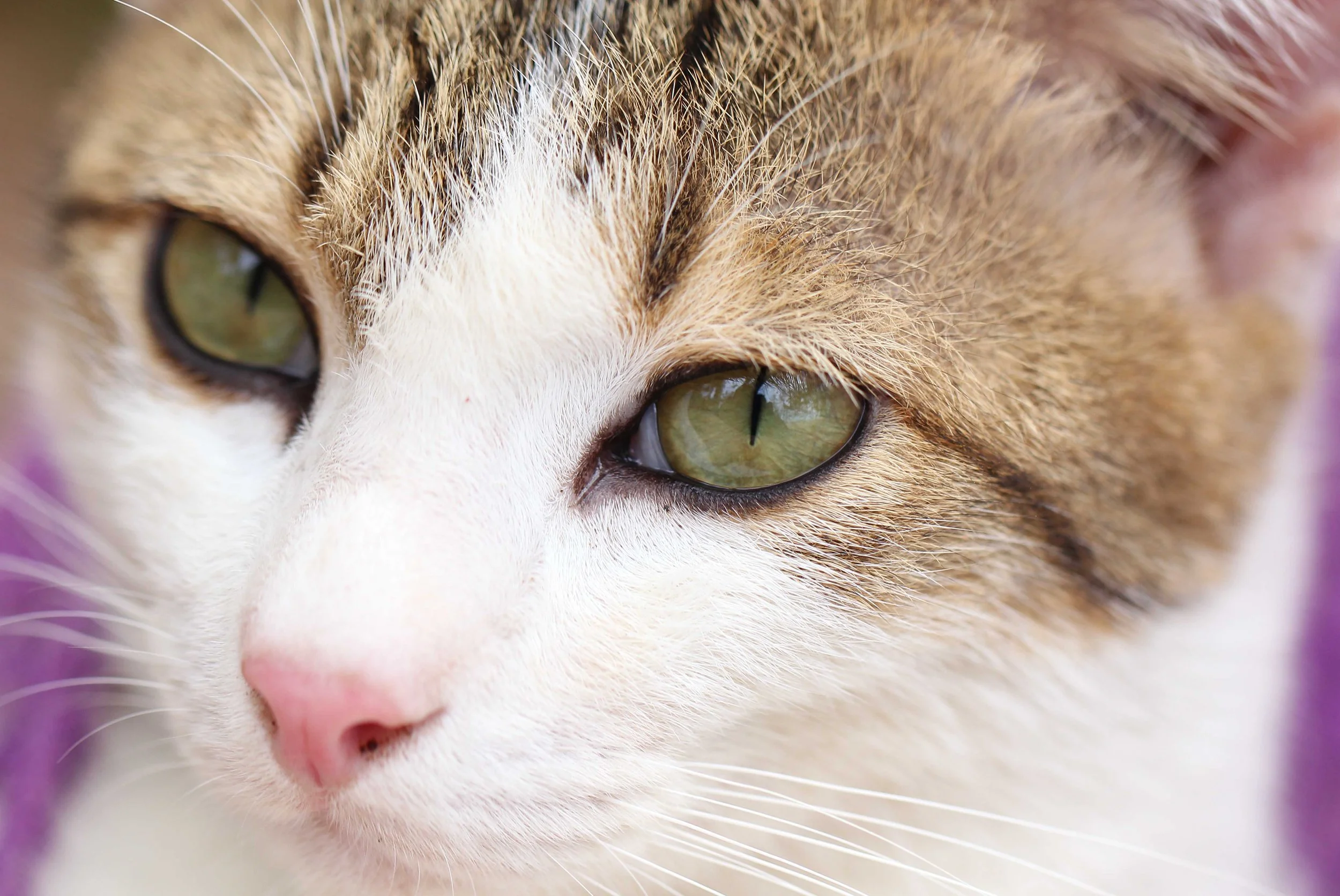 2015 Koh Lanta Songkran with friends from ISB (370).JPG