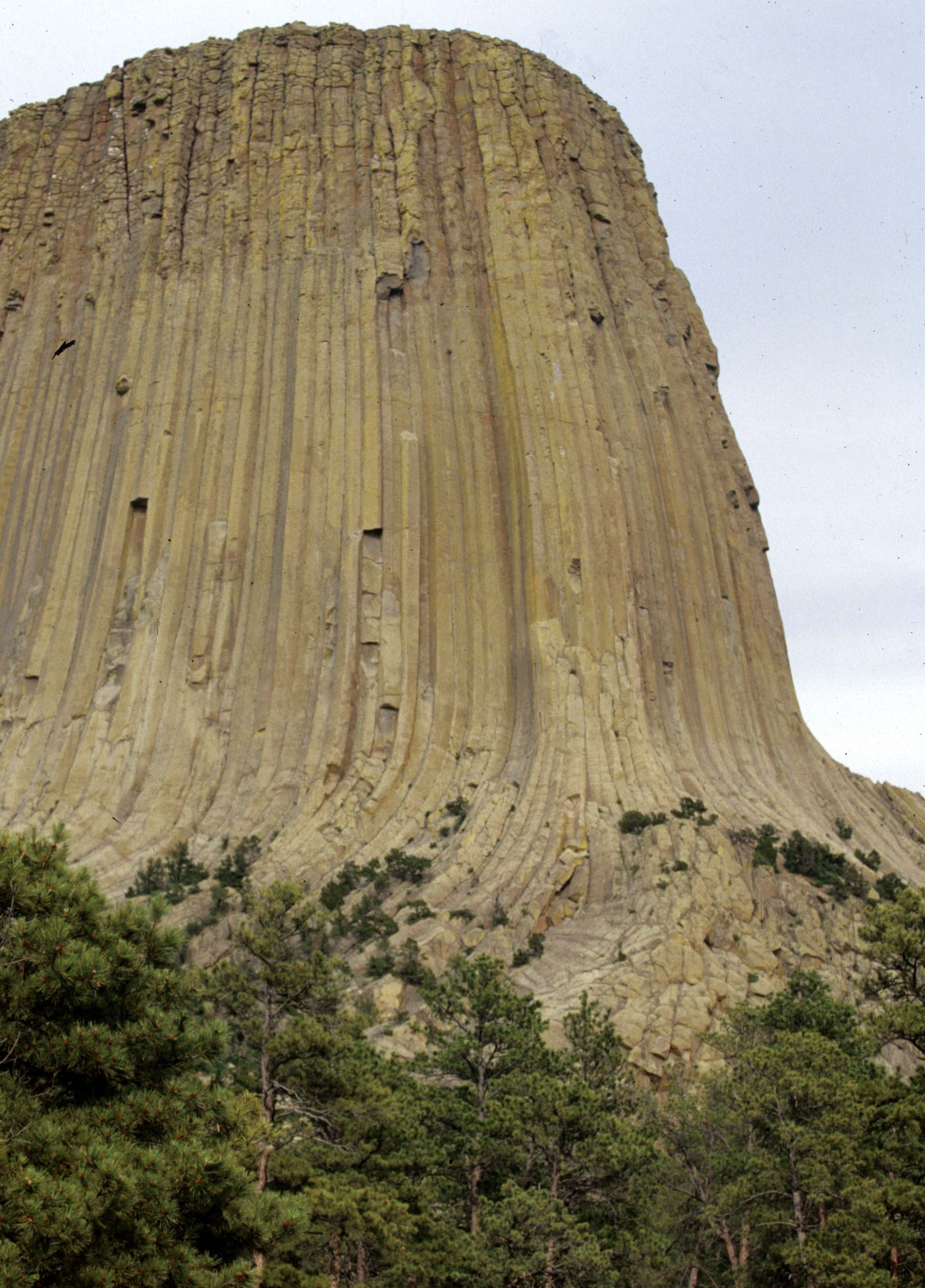 WYOMING - DEVILS TOWER NM A.jpg