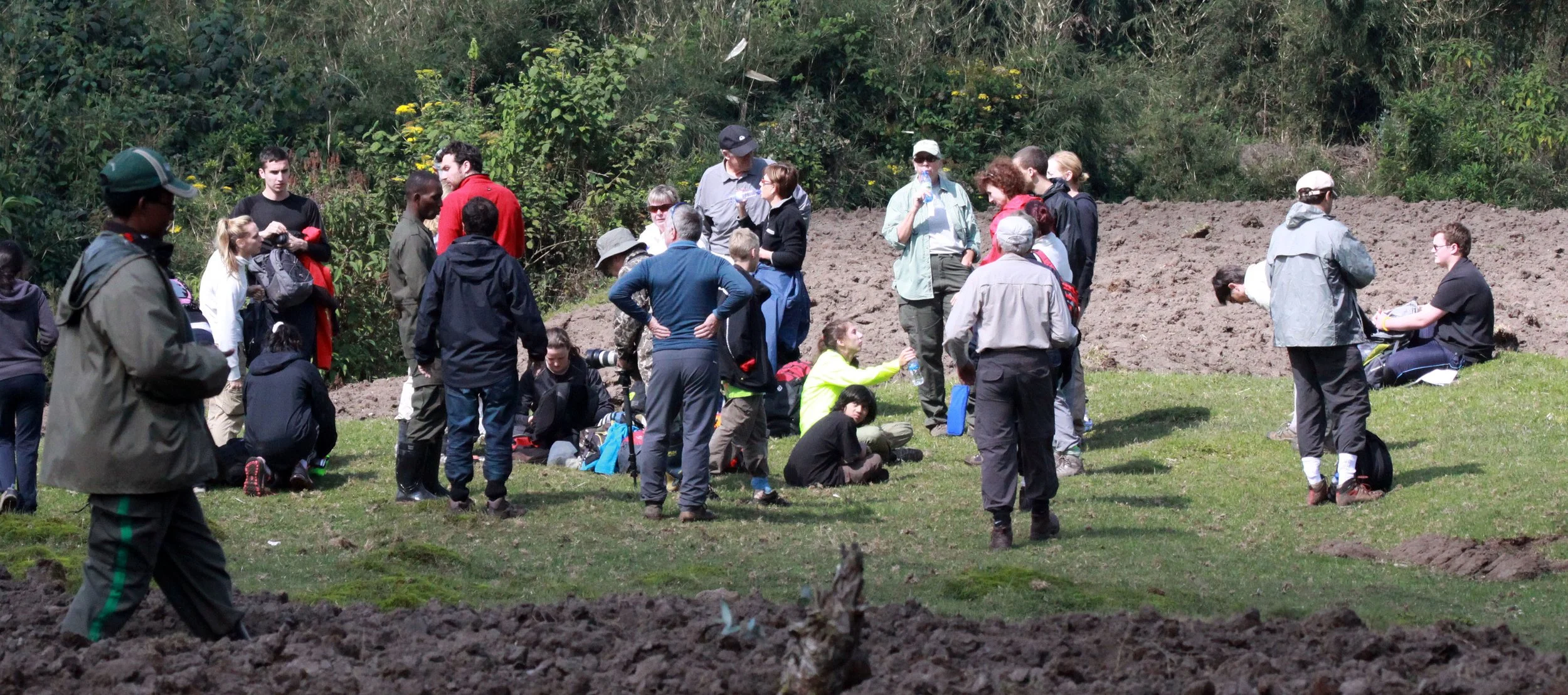 PARC DU VULCANS RWANDA (72).JPG