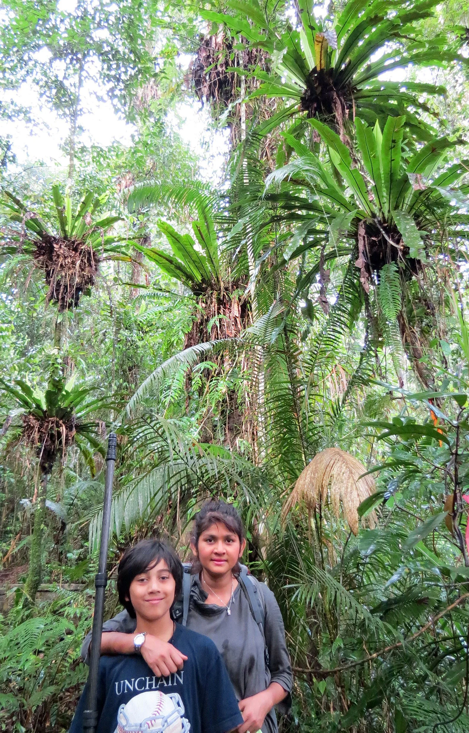 HALIMUN  NATIONAL PARK - JAVA BARAT INDONESIA (5).JPG