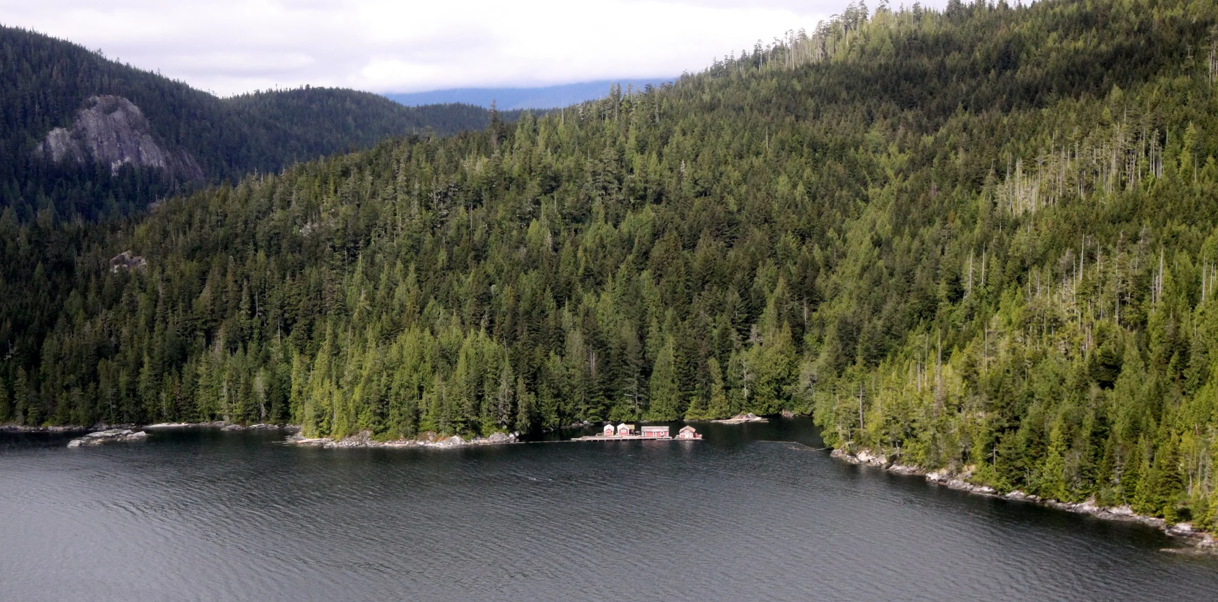 KNIGHT'S INLET BRITISH COLUMBIA - FLOAT PLANE RIDE TO SAILCONE LODGE MINSTREL ISLAND (15).JPG