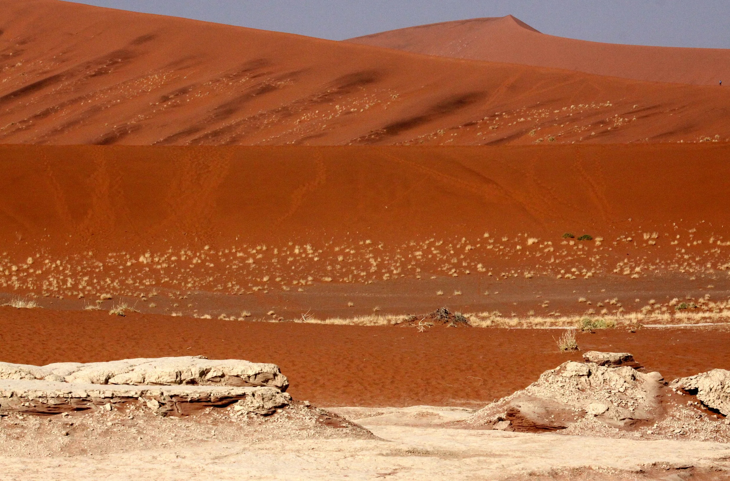 SOSSUSVLEI, NAMIB NAUKLUFT NATIONAL PARK, NAMIBIA - DEAD VLEI (101).JPG