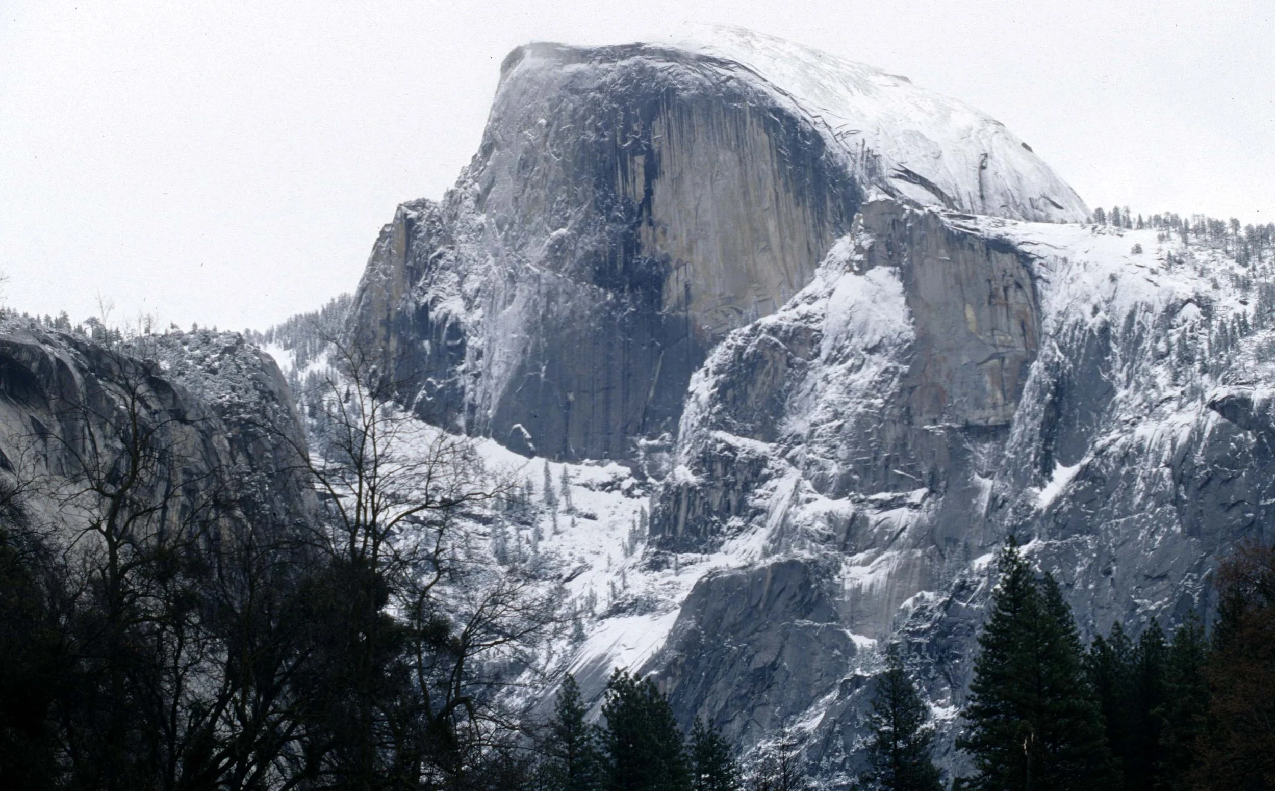 CALIFORNIA - YOSEMITE NP  (3).jpg