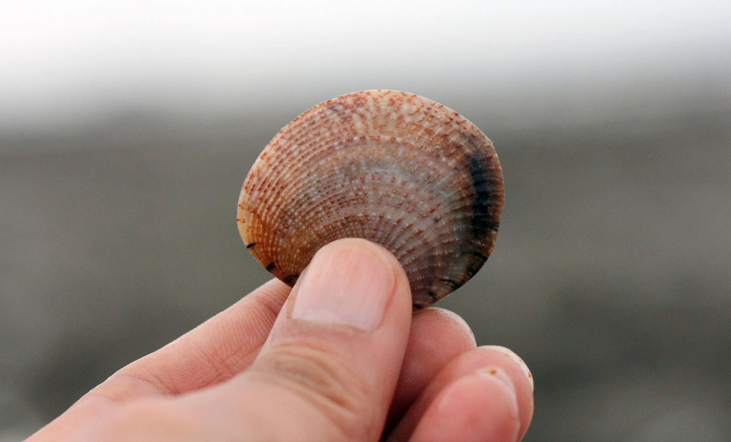 2015 Lanta stuff (2).JPG