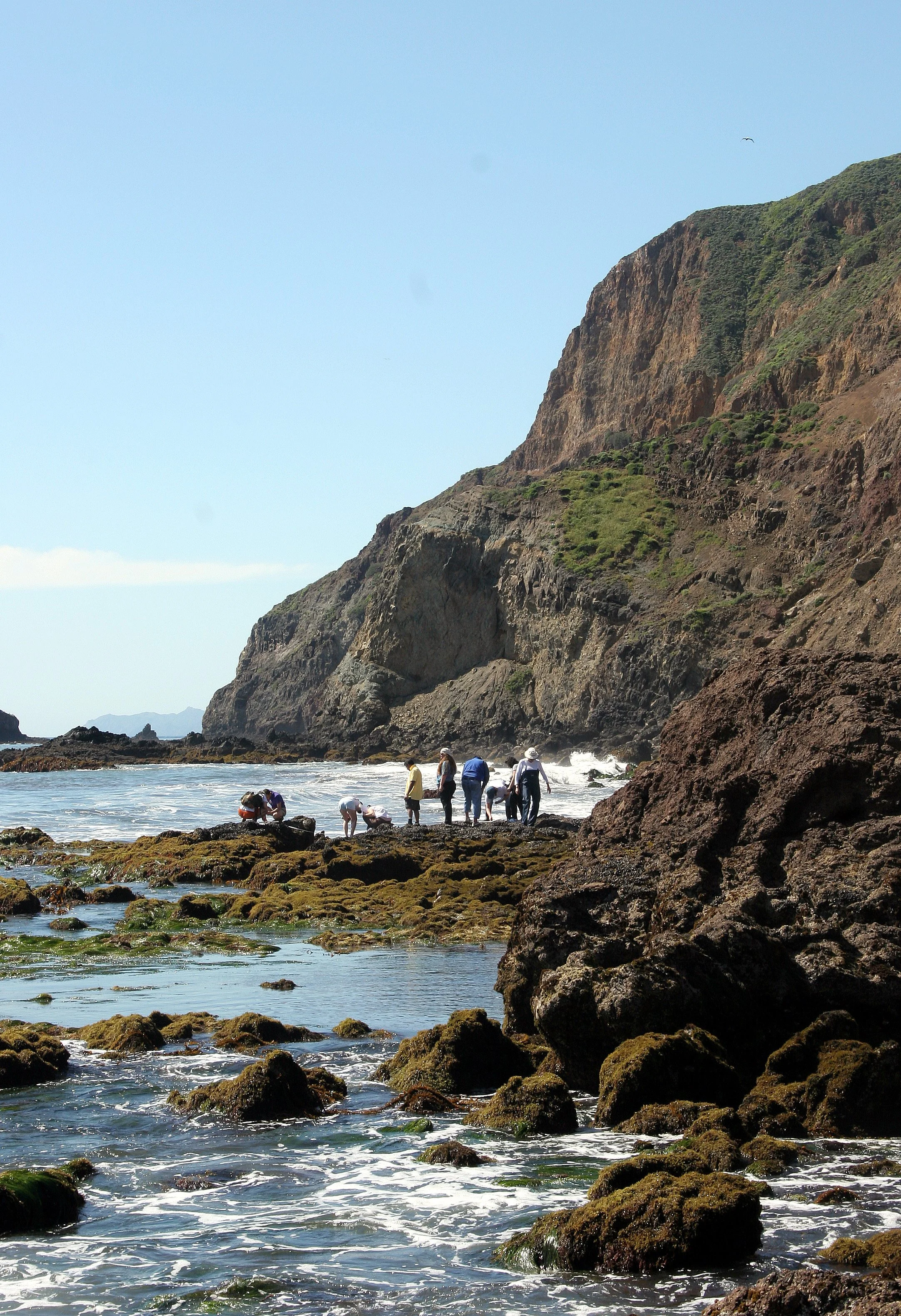 CALIFORNIA - CHANNEL ISLANDS NP - ANACAPA ISLAND - Surveying.jpg
