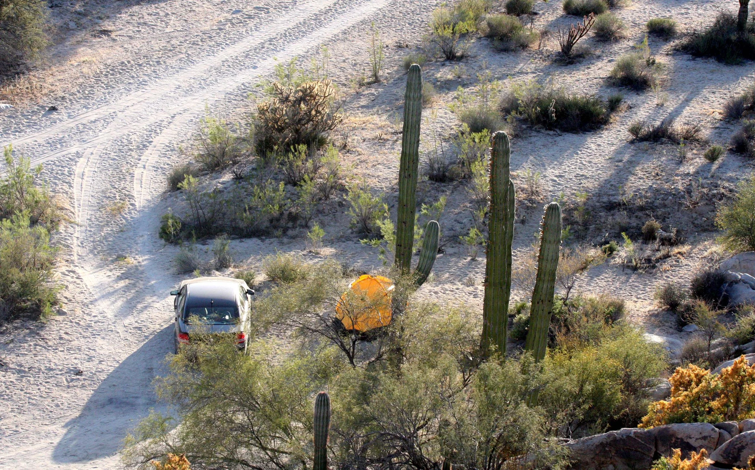 CATAVINA DESERT BAJA MEXICO - CAMPSITE IN THE DESERT (3).JPG