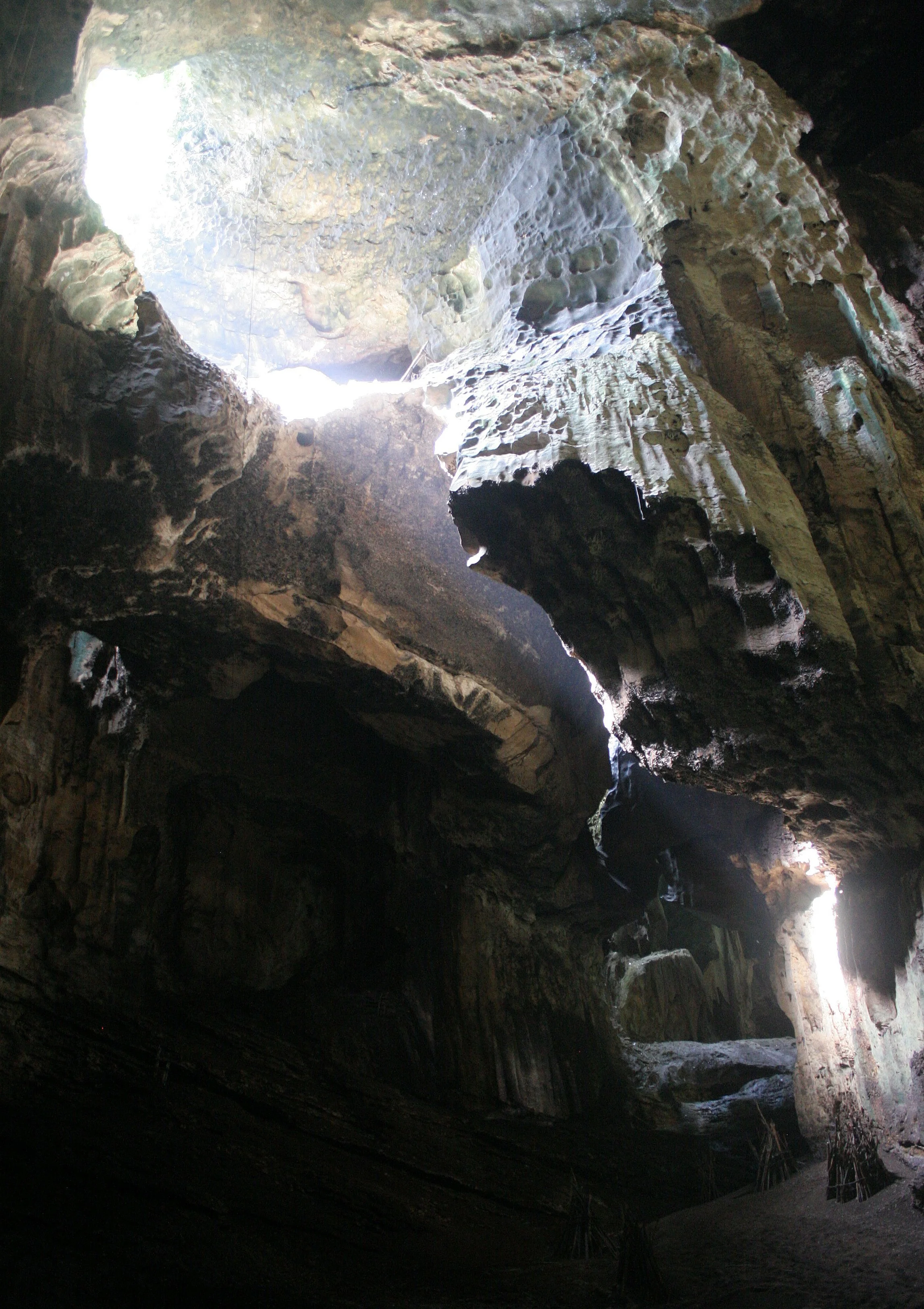 GAMONTONG CAVES BORNEO (6).JPG