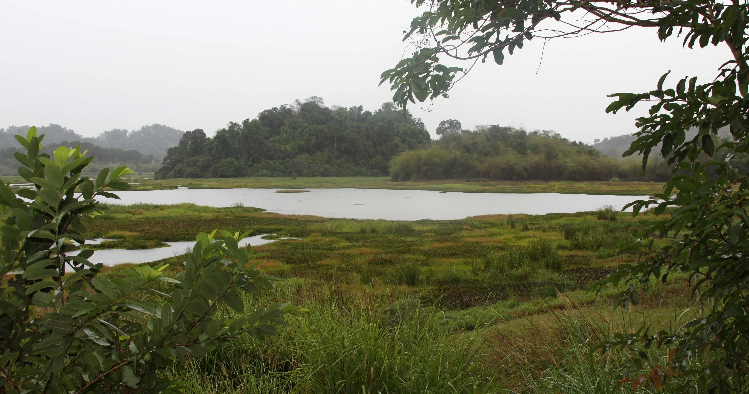 CAT TIEN NATIONAL PARK VIET NAM - CROCODILE LAKE (8).JPG