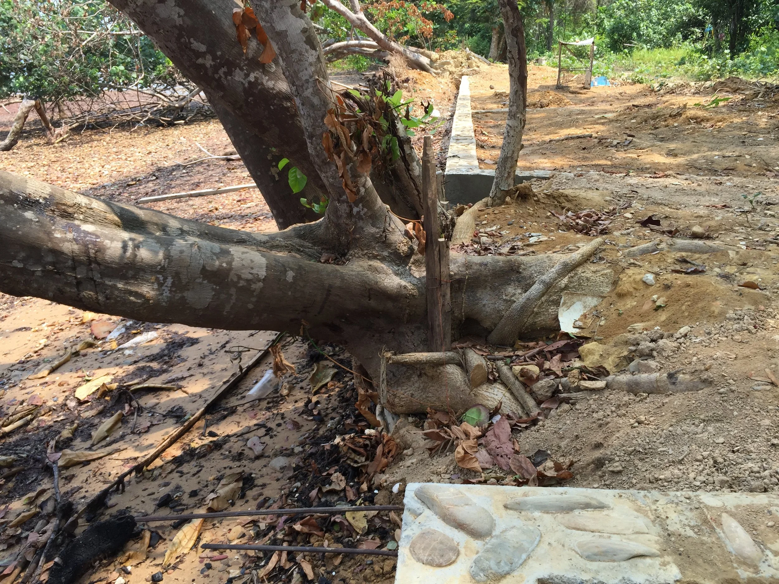 2015 Lanta Project and Scenes (42).JPG