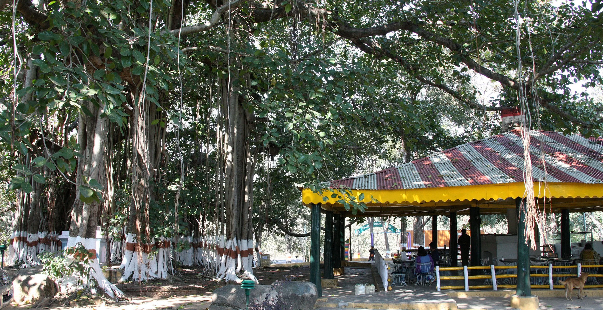 NAGPUR INDIA - STREET SCENES (4).JPG