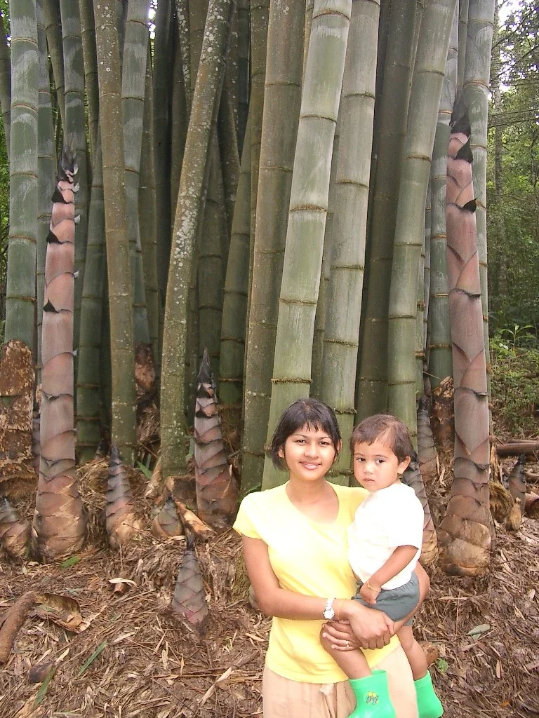 2004 Chiang Mai & Northern Thailand Road Trip (4).JPG
