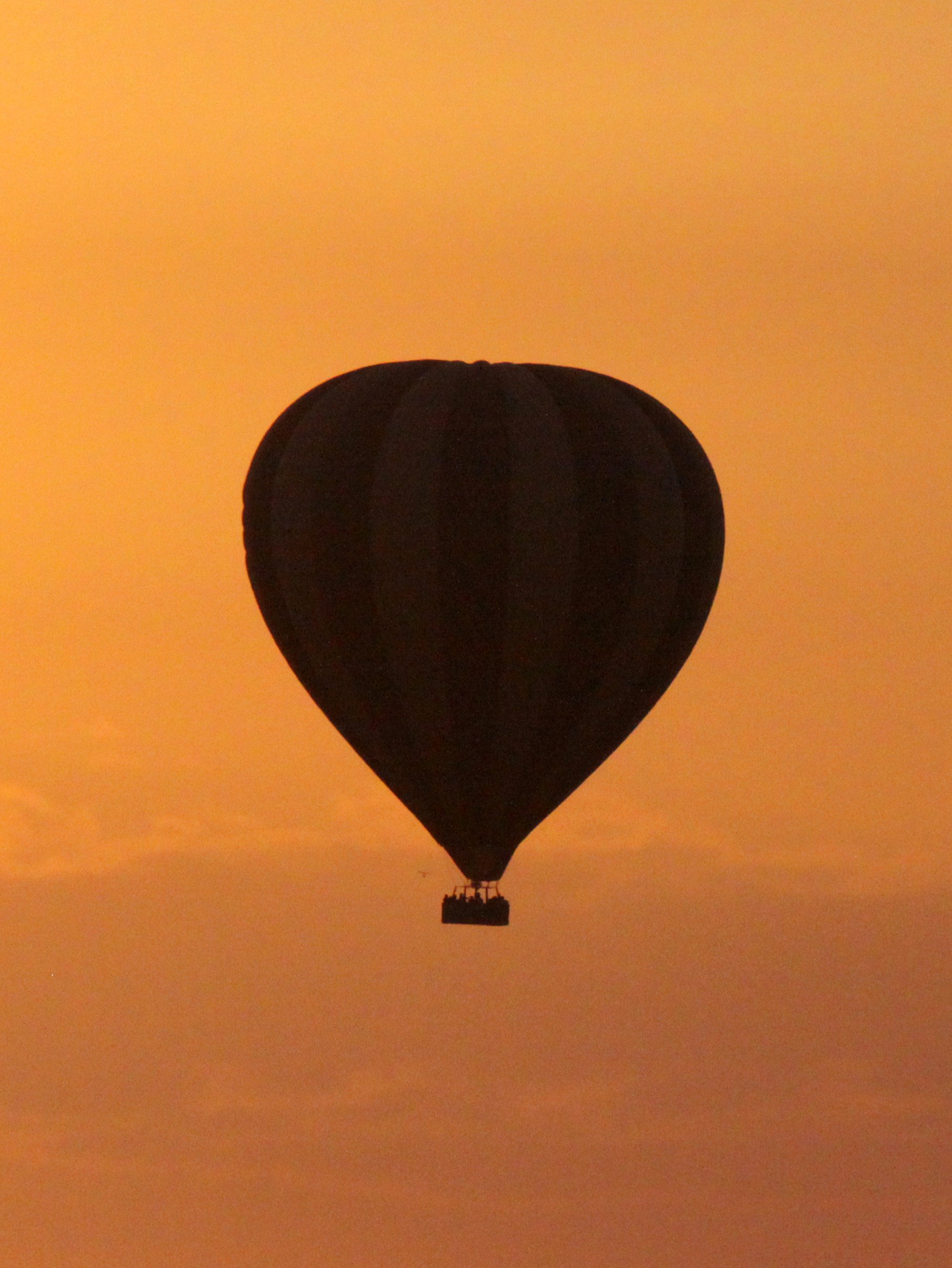 MASAI MARA NATIONAL PARK KENYA (202).JPG