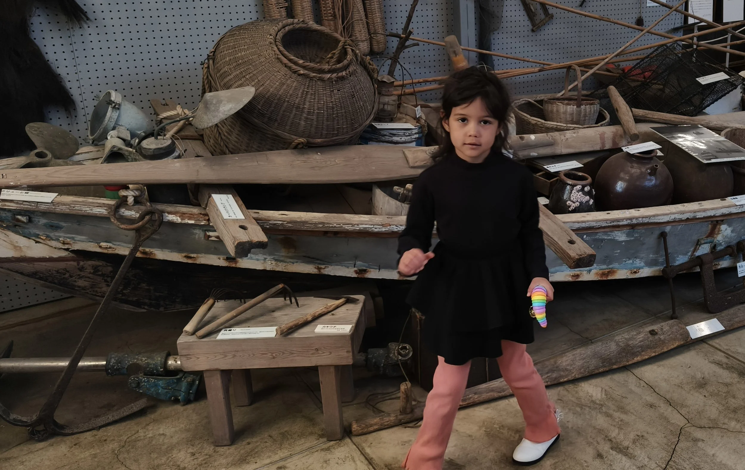 Minamata Disease Museum Kagoshima Japan (18).jpg