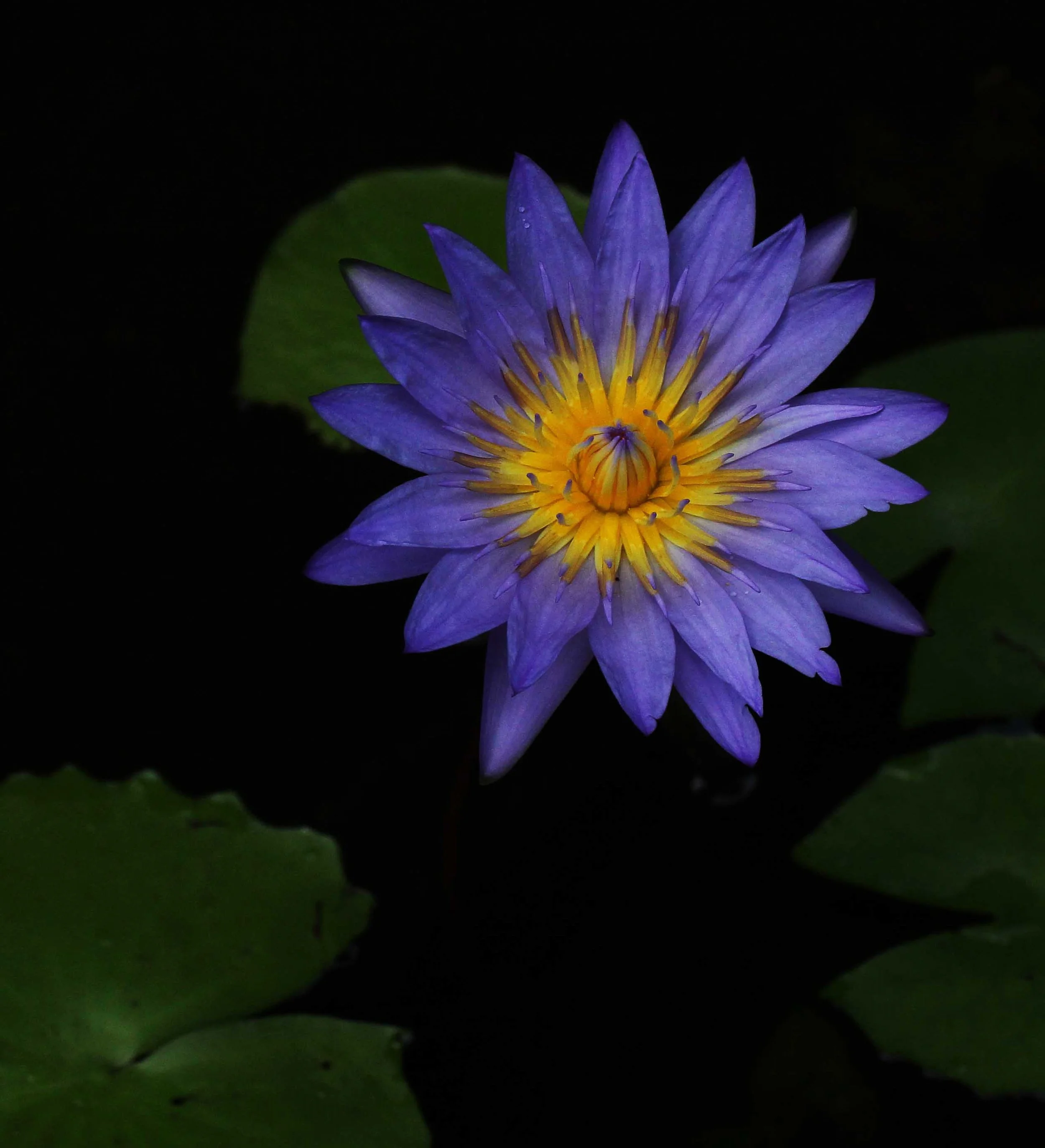 2015 Koh Lanta Songkran with friends from ISB (715).JPG