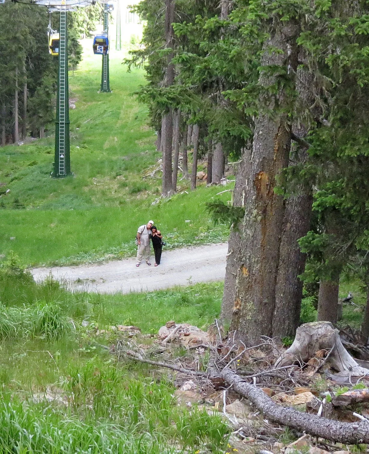 STELVIO NATIONAL PARK ITALY (63).JPG