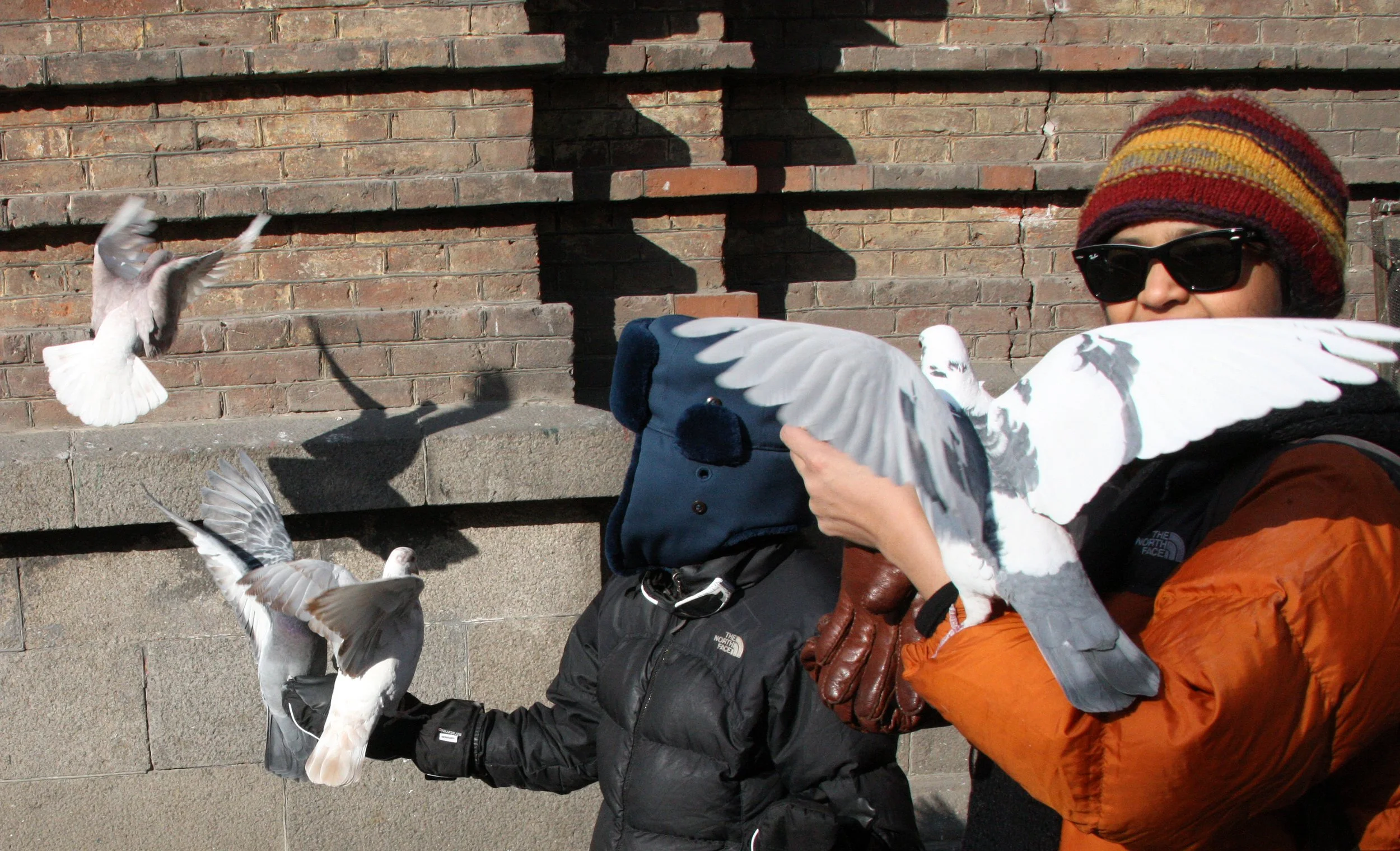 BIRD - PIGEON - HARBIN SAINT SOPHIA'S CATHEDRAL CHINA (58).JPG