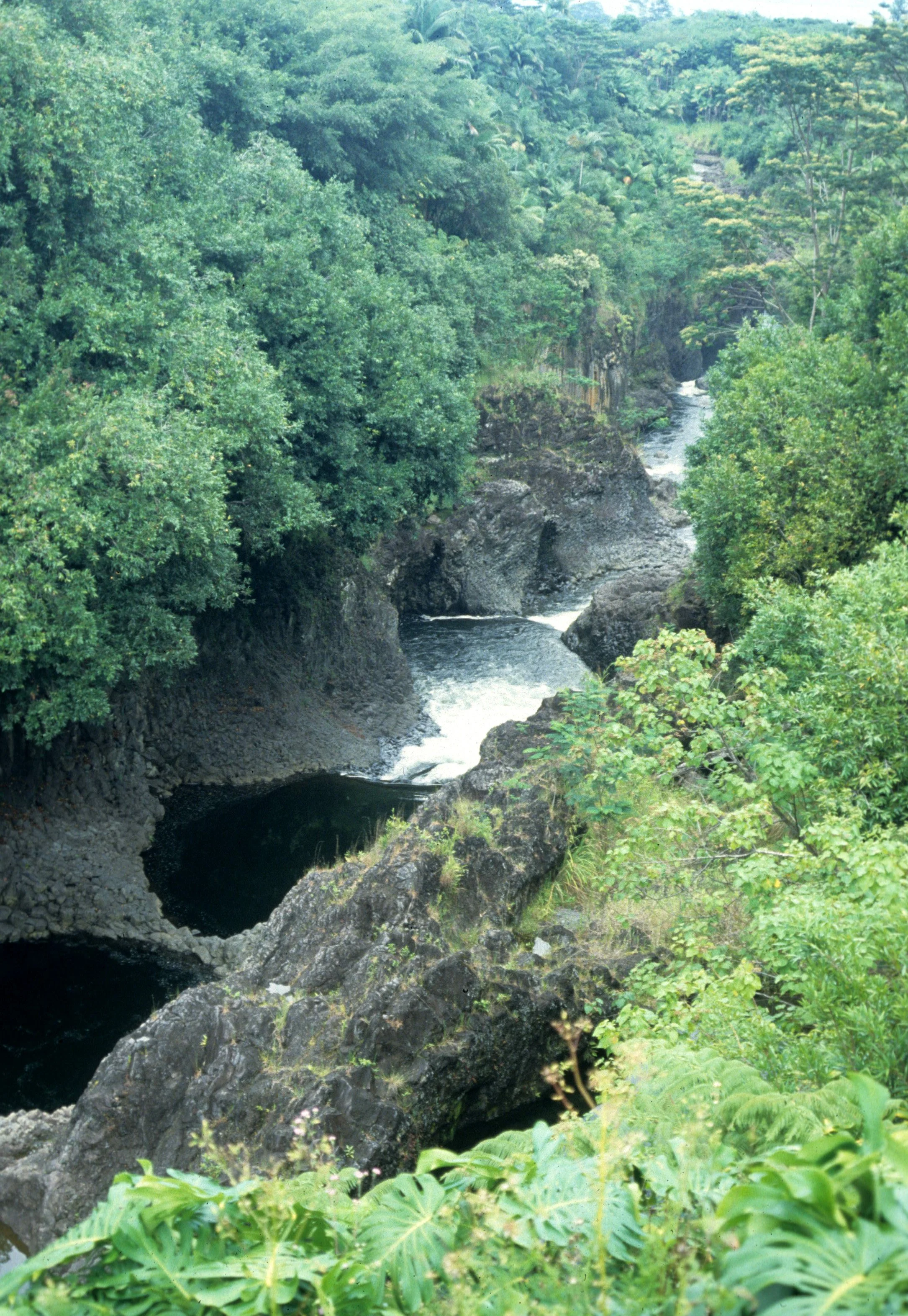 HAWAII - HAWAII - PAINT POT FALLS (3).jpg