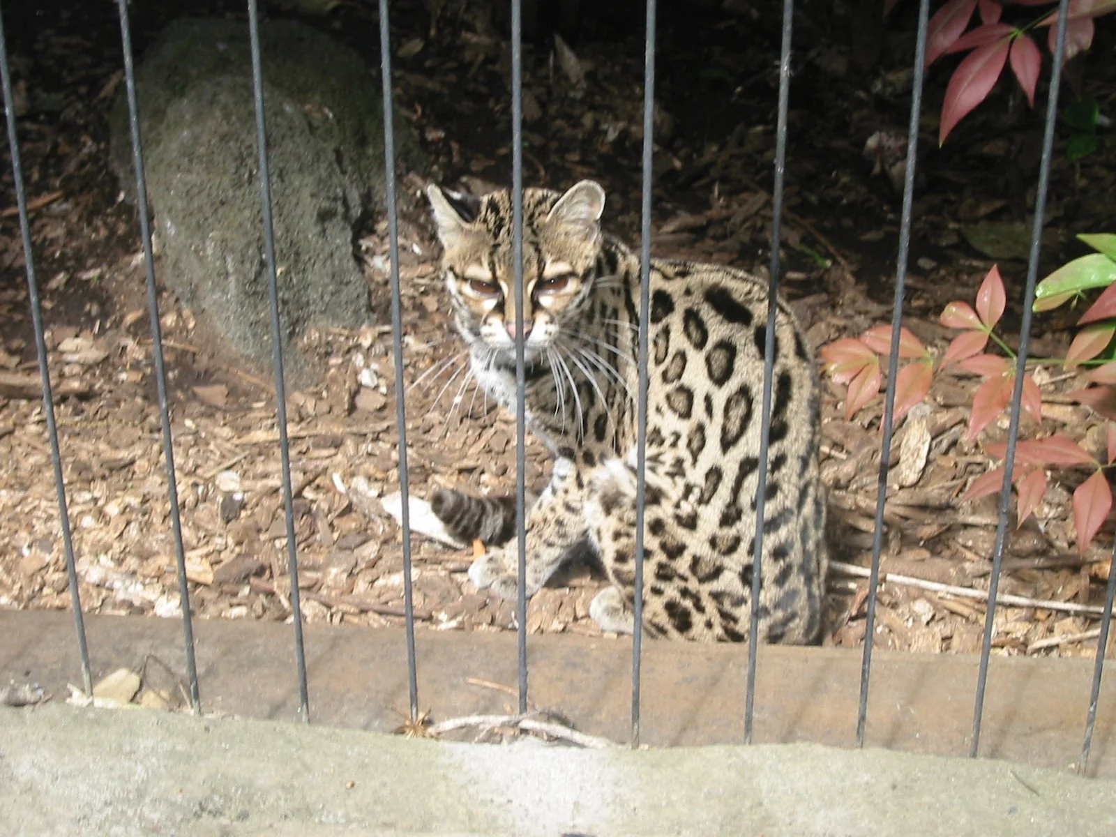 2003-4-1 SPRING TRIP TO SACRAMENTO (94).JPG