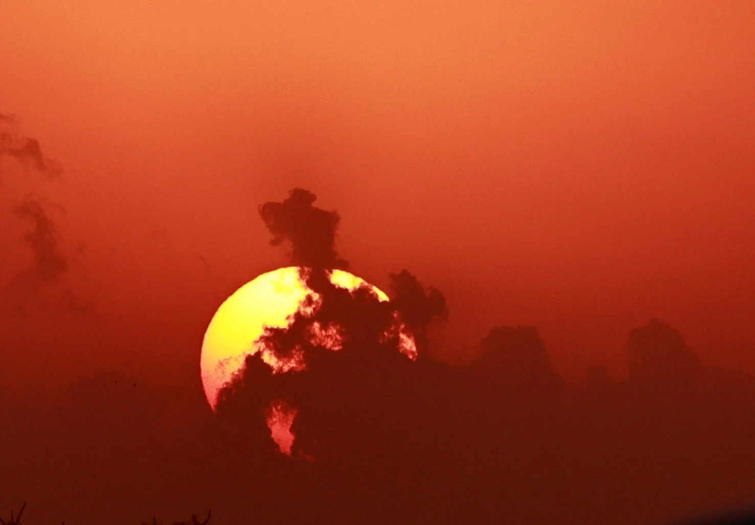 Fukuoka Japan (5).jpg