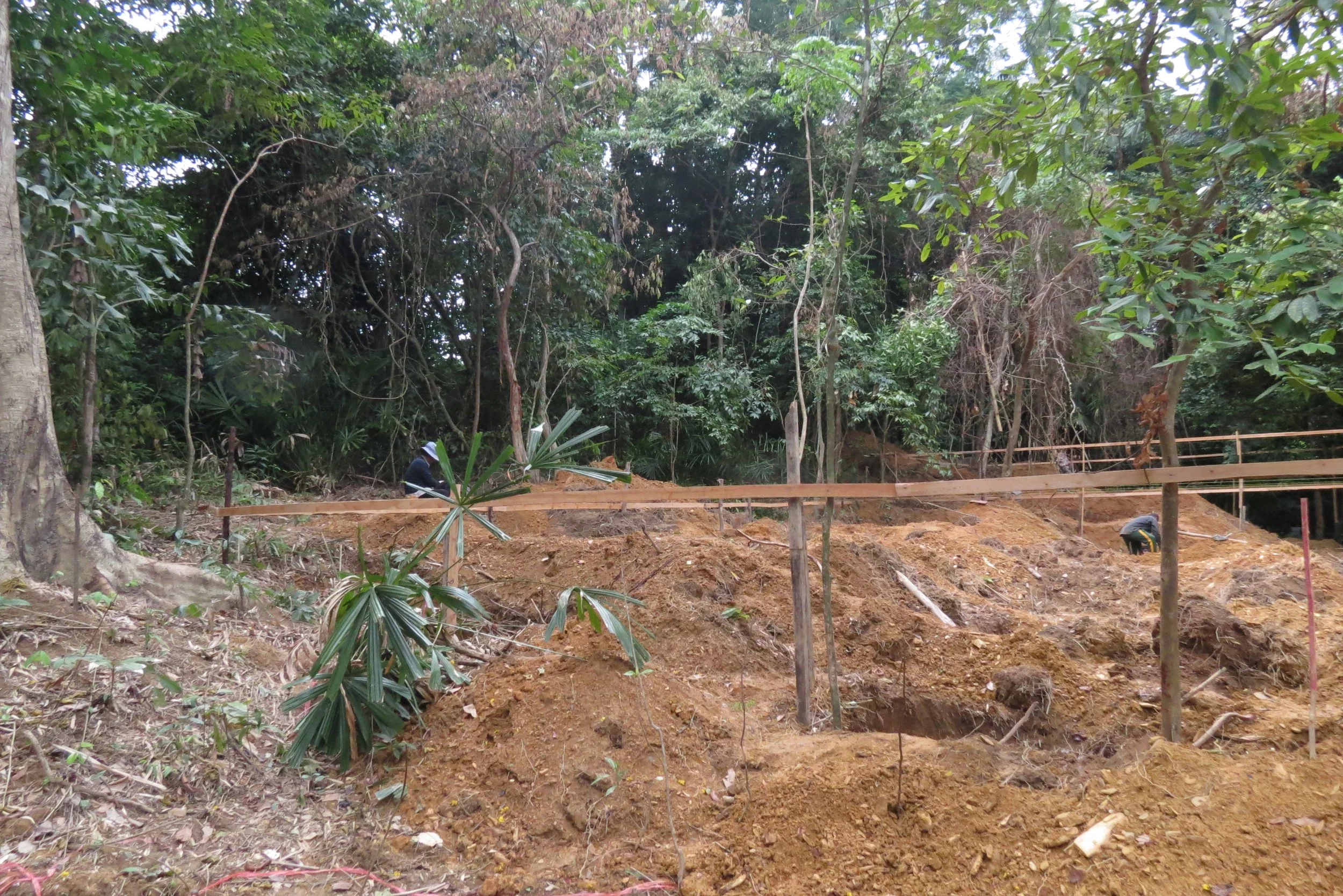 2014 Koh Lanta Build (85).JPG